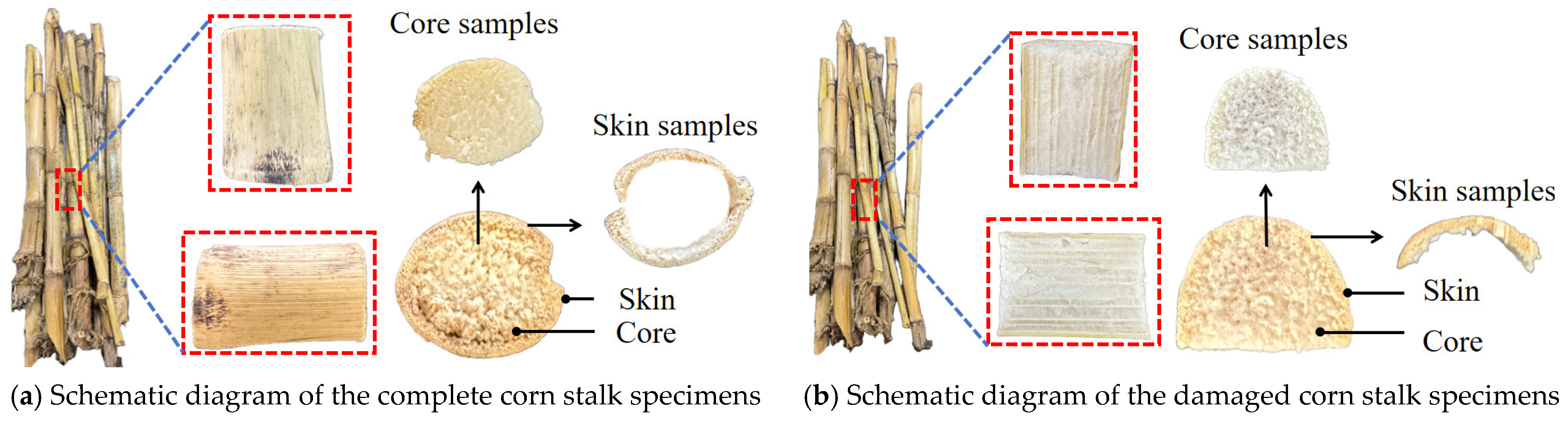 Agriculture 15 01824 g001