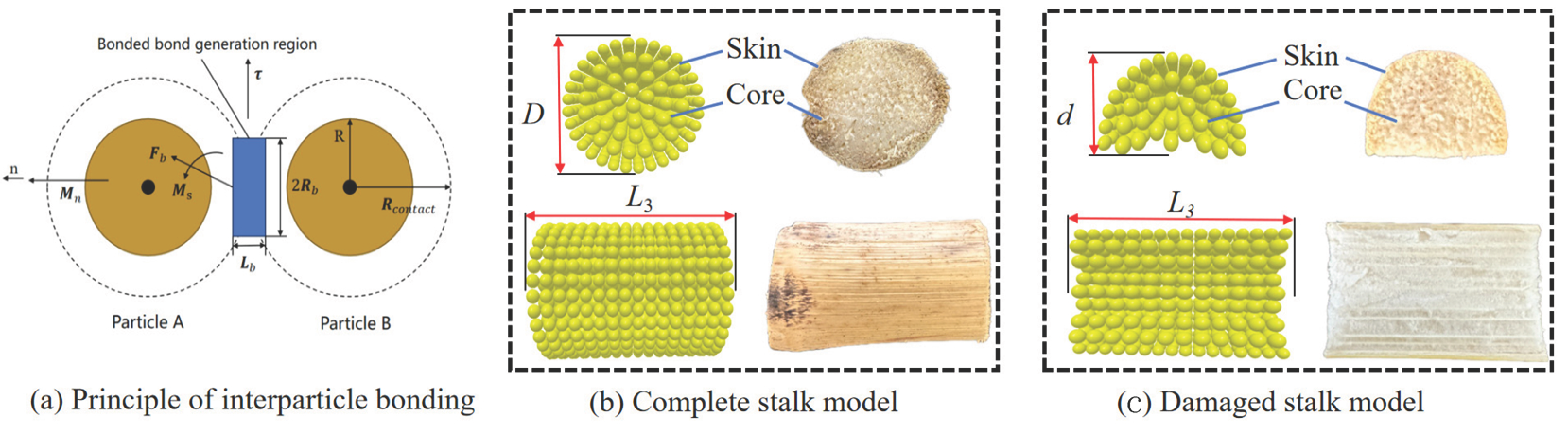 Agriculture 15 01824 g005