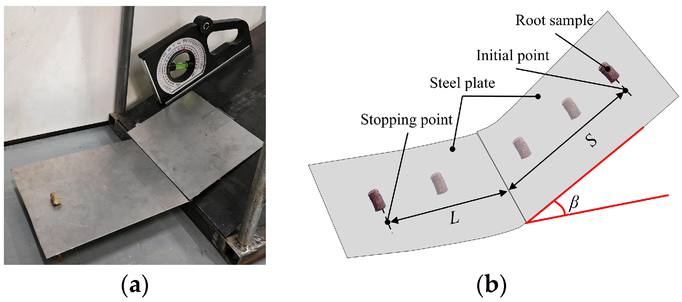 Agriculture 15 01827 g002 Agriculture 15 01827 g002