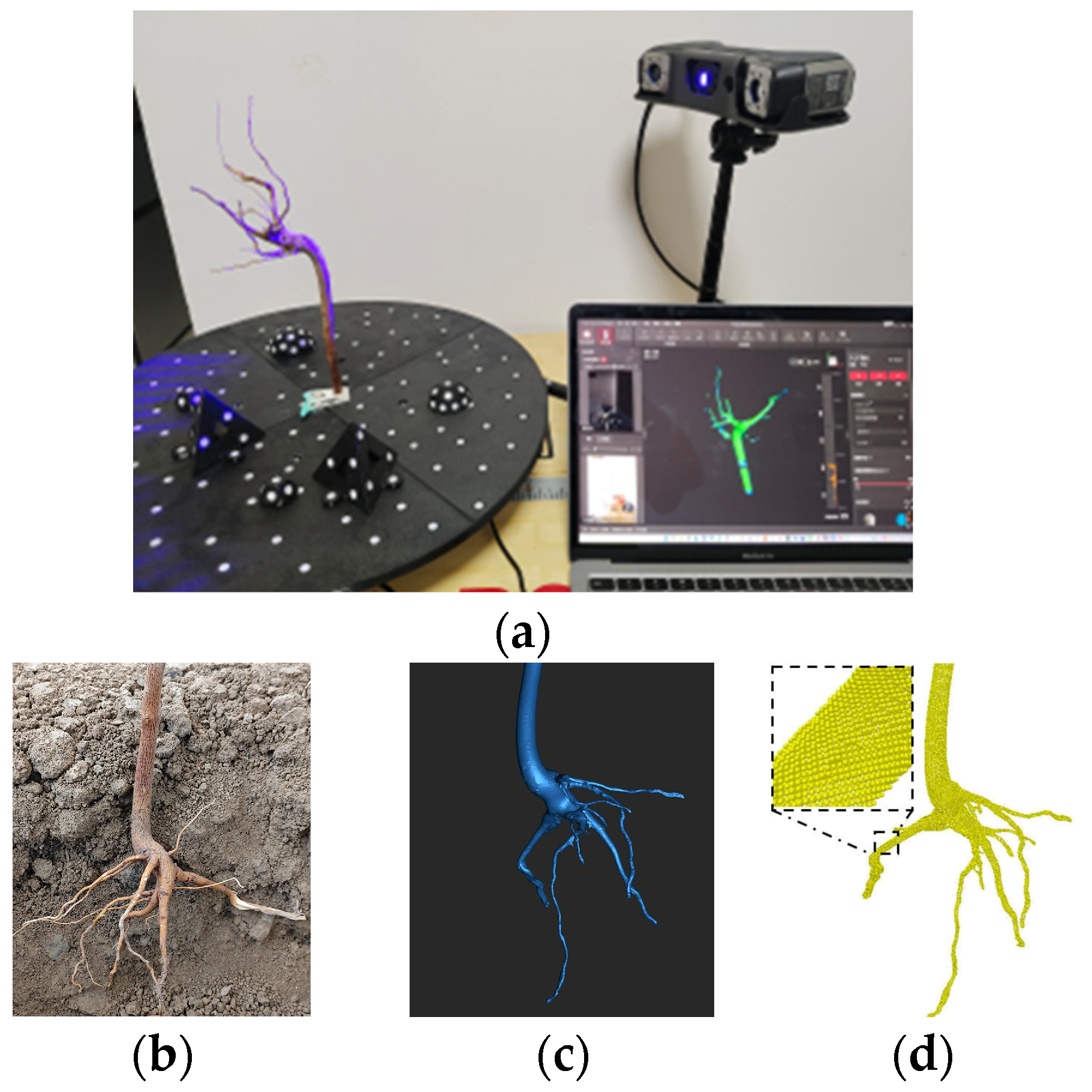 Agriculture 15 01827 g007 Agriculture 15 01827 g007