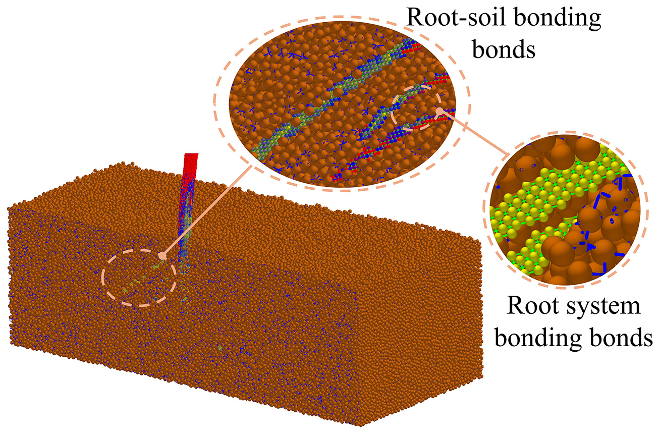 Agriculture 15 01827 g017 Agriculture 15 01827 g017