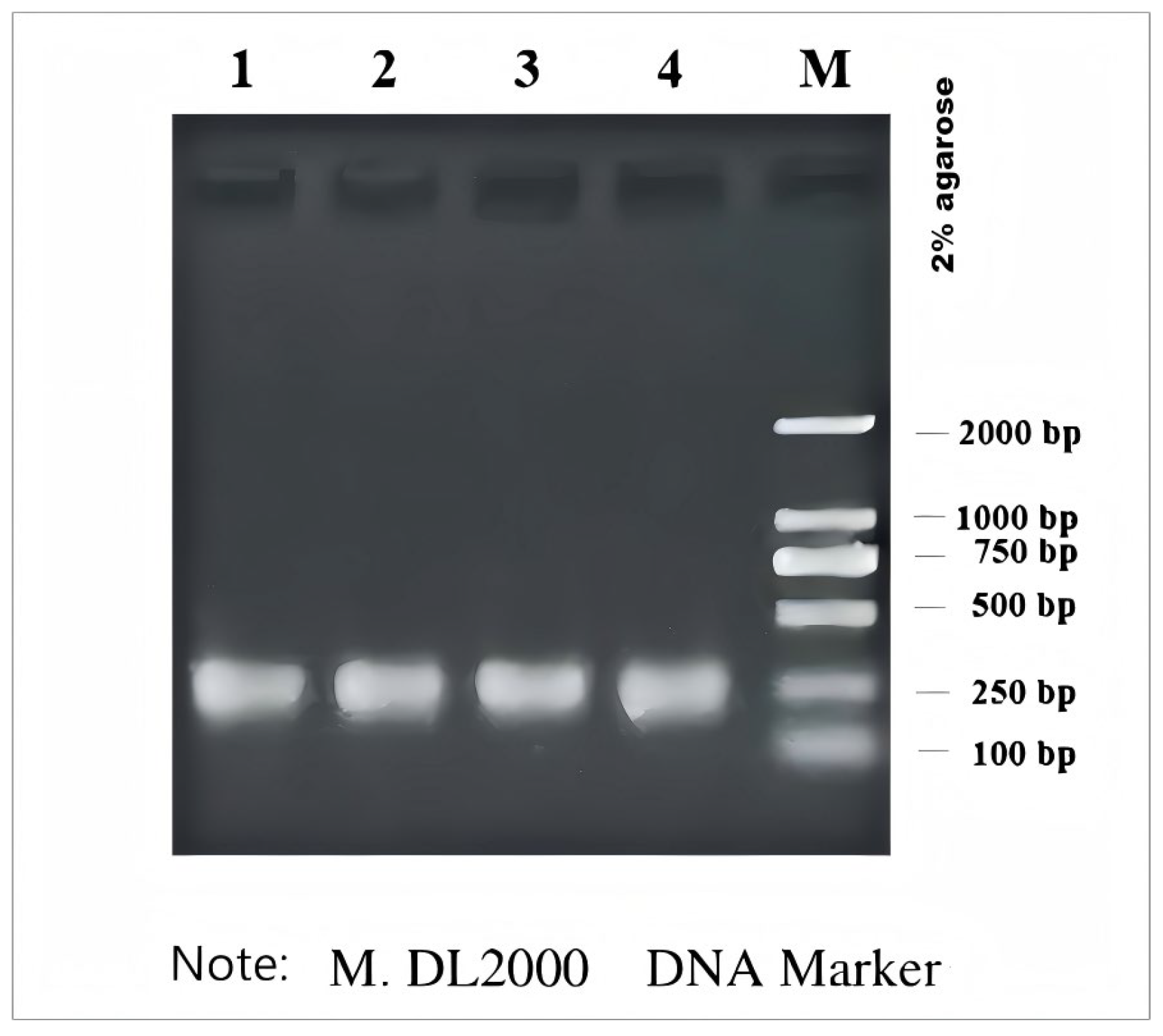 Agriculture 15 01828 g002