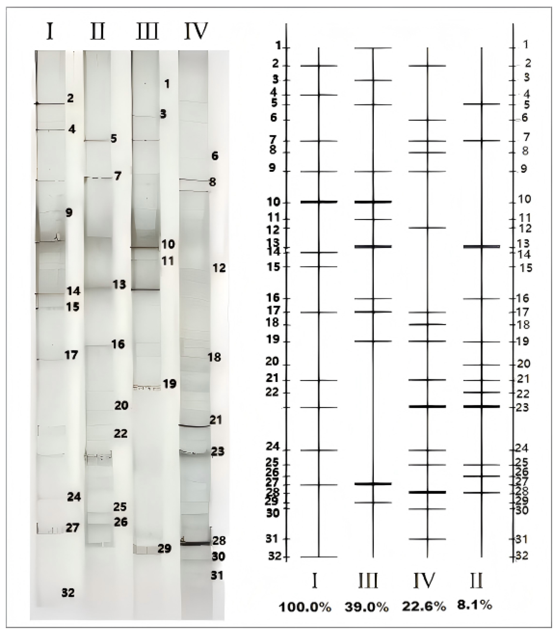 Agriculture 15 01828 g003