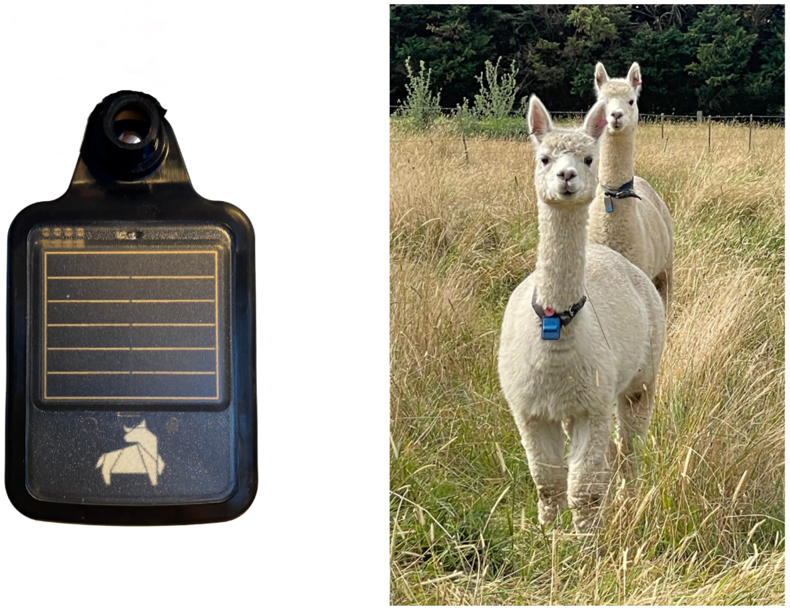 Agriculture 15 01839 g001 Agriculture 15 01839 g001