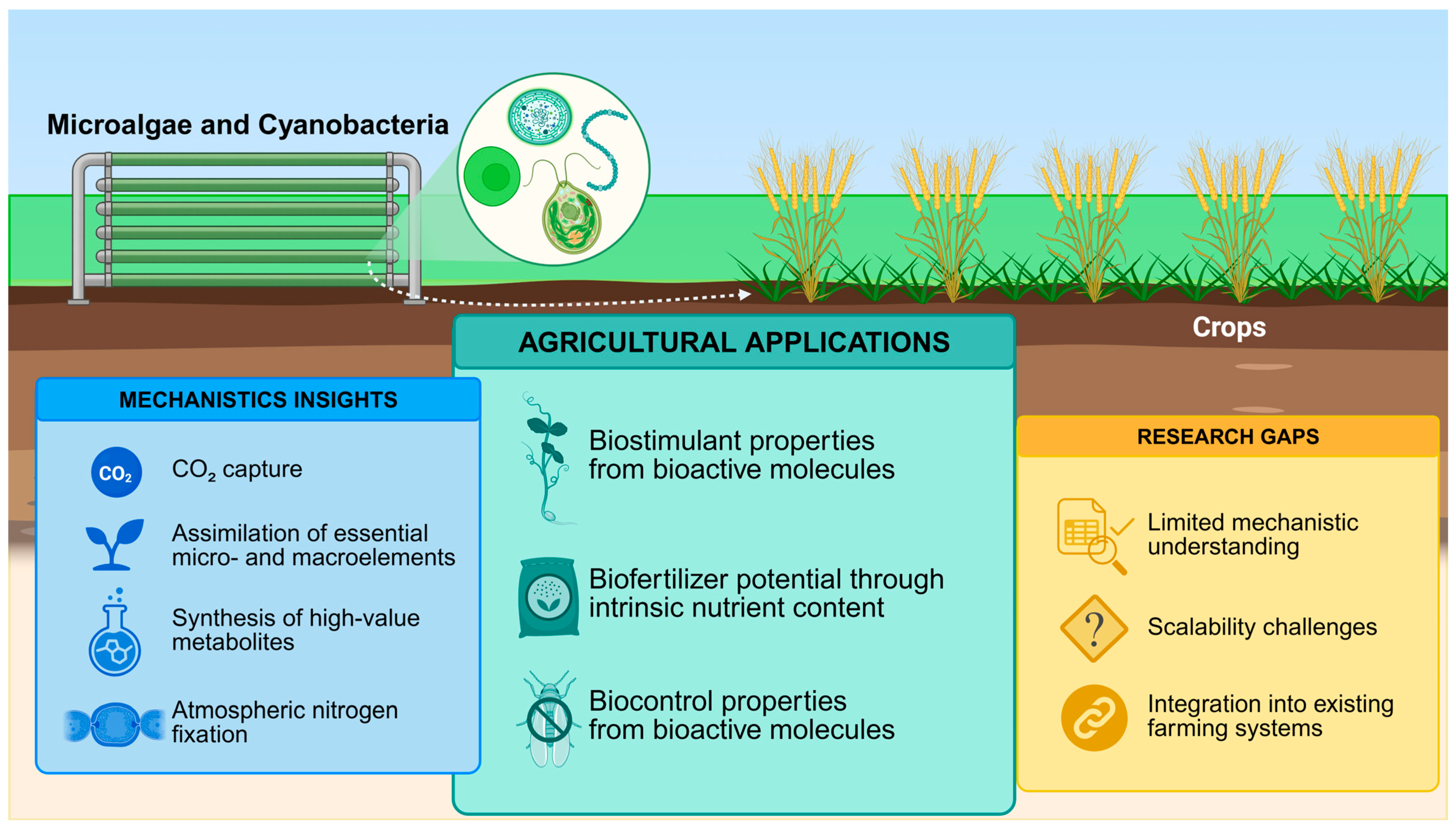 Agriculture 15 01842 g001
