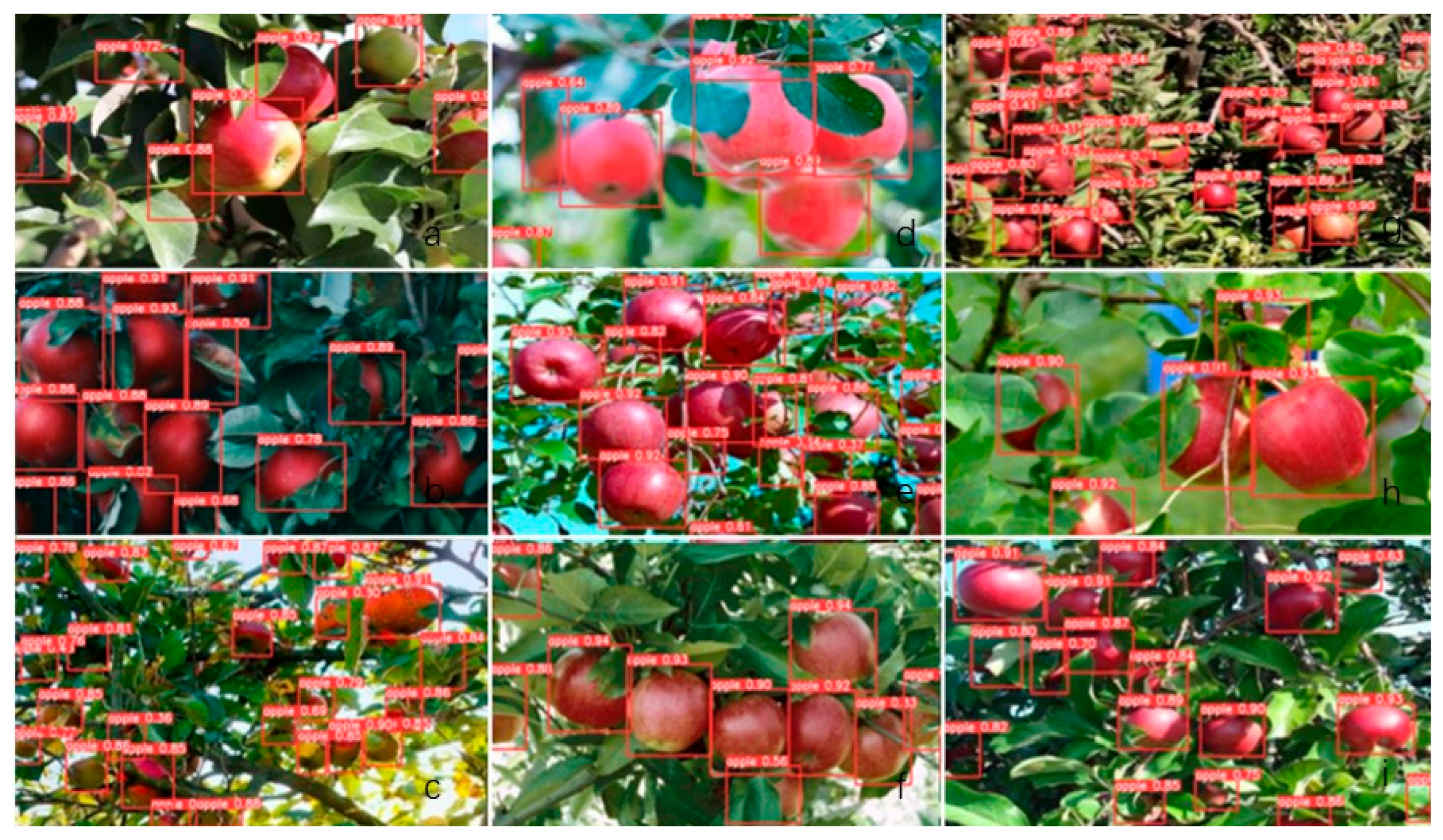 Agriculture 15 01850 g006