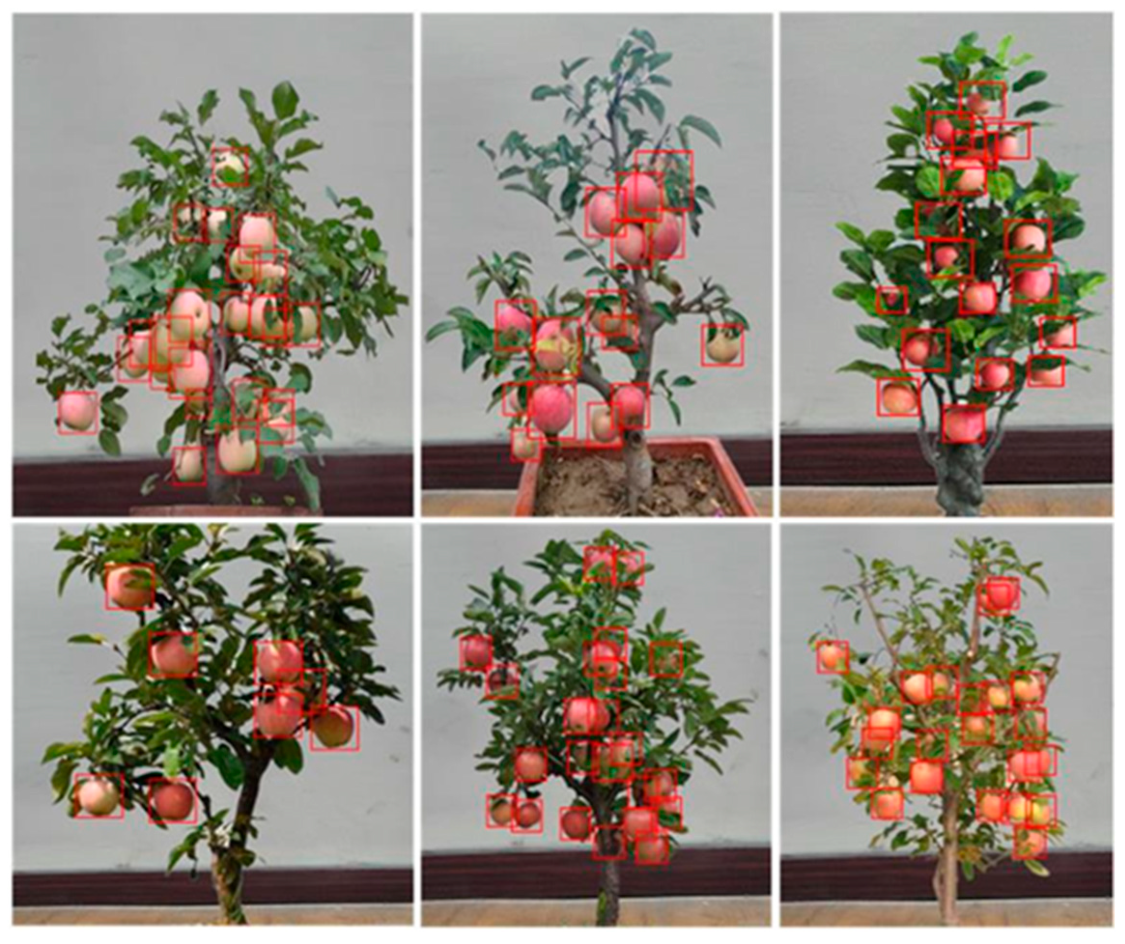 Agriculture 15 01850 g010