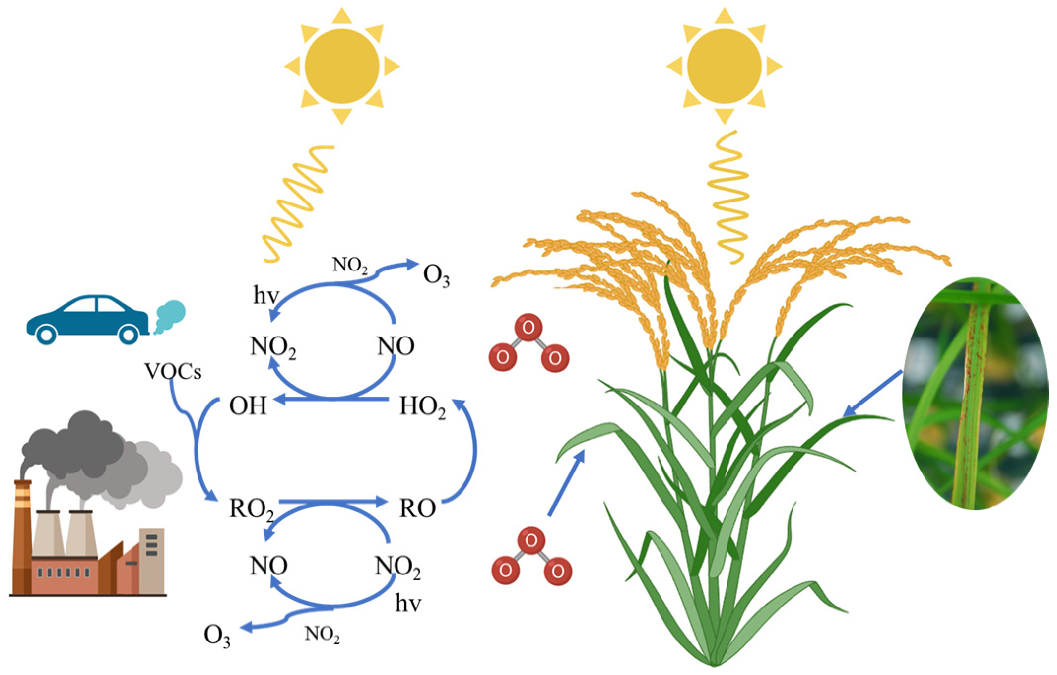 Agriculture 15 01851 g001