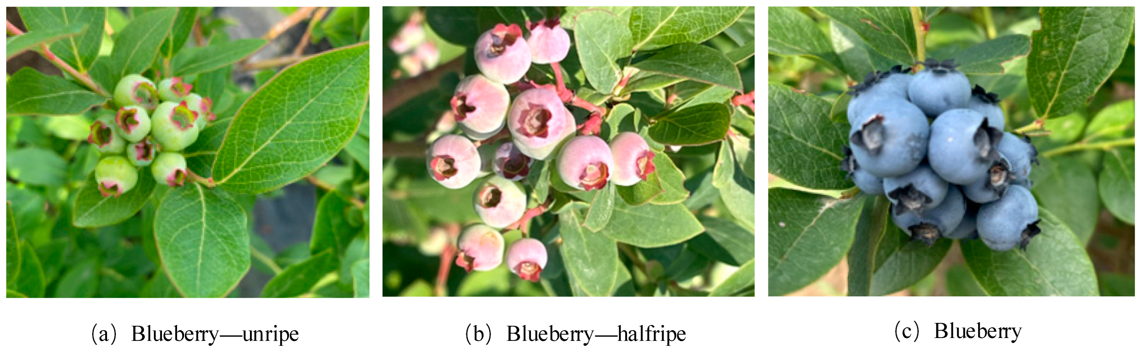 Agriculture 15 01877 g001