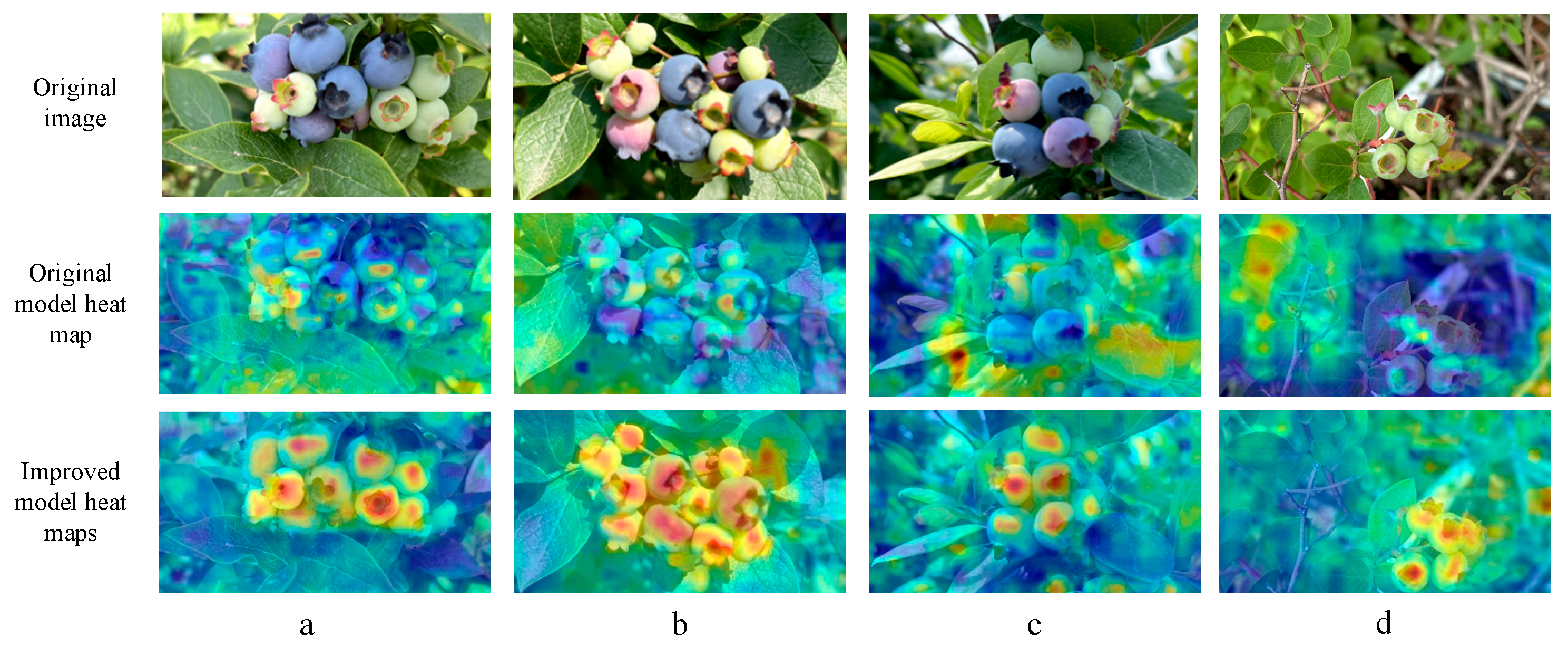 Agriculture 15 01877 g008