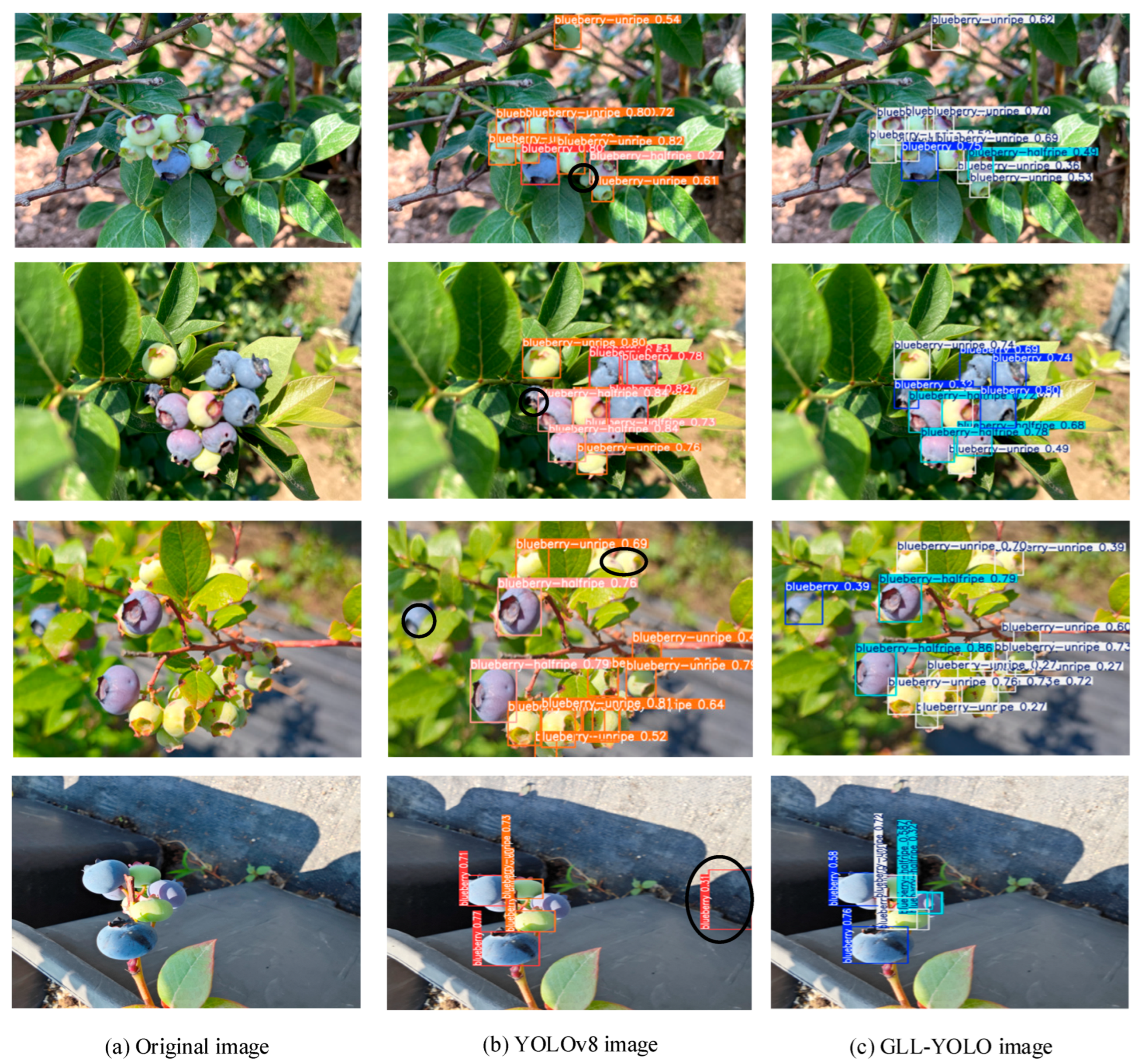 Agriculture 15 01877 g011