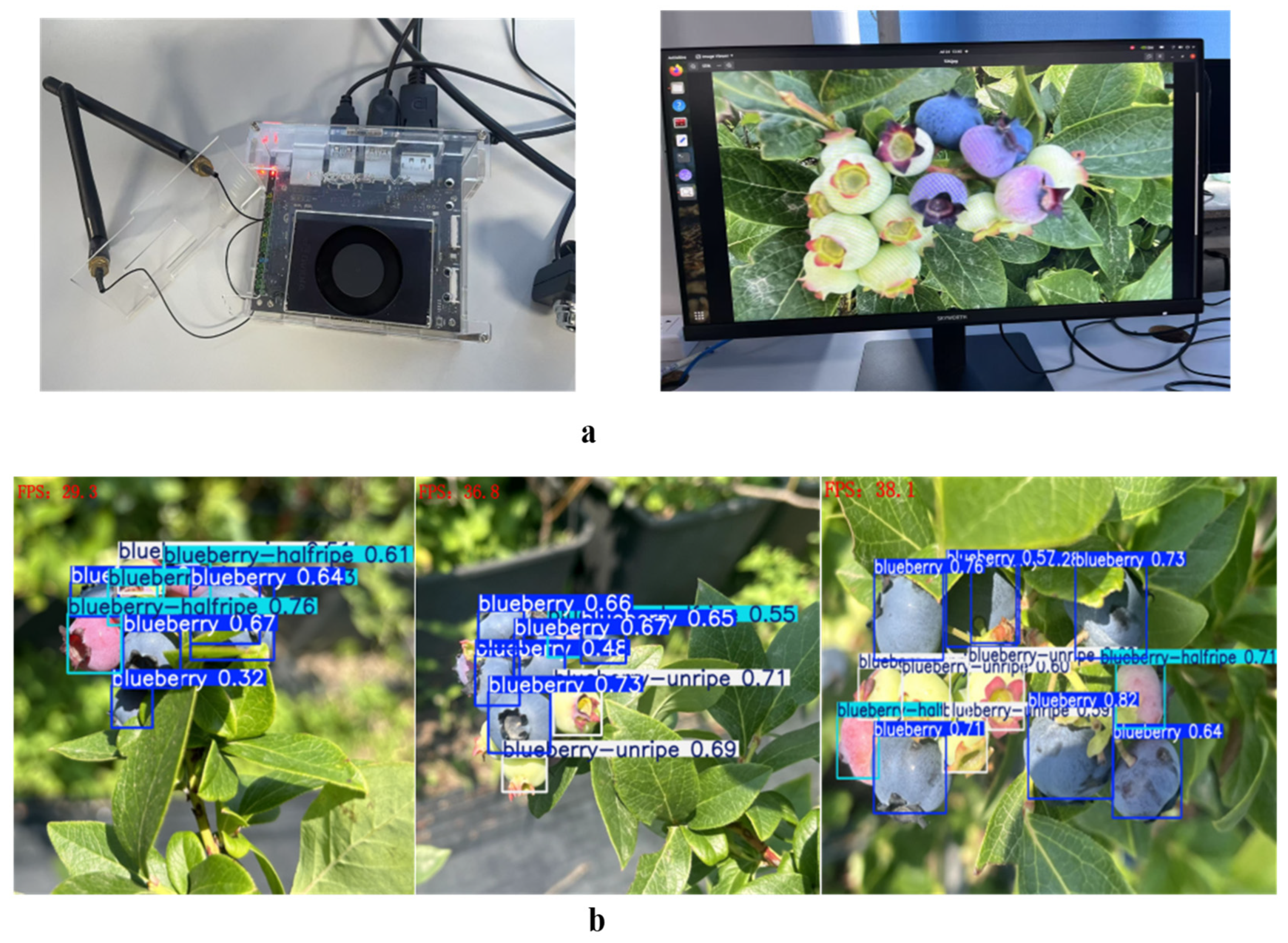 Agriculture 15 01877 g012