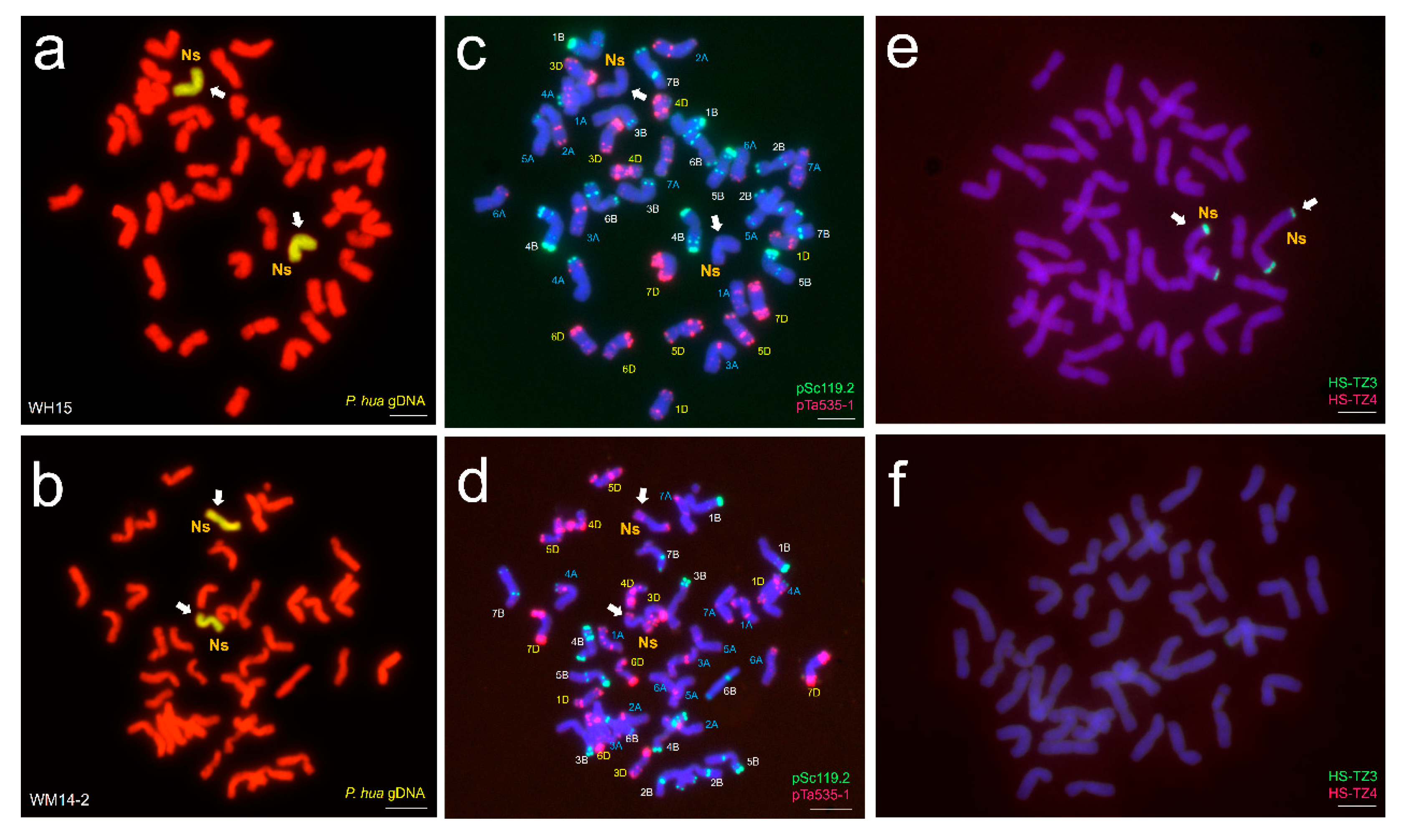 Agriculture 15 01887 g001 Agriculture 15 01887 g001