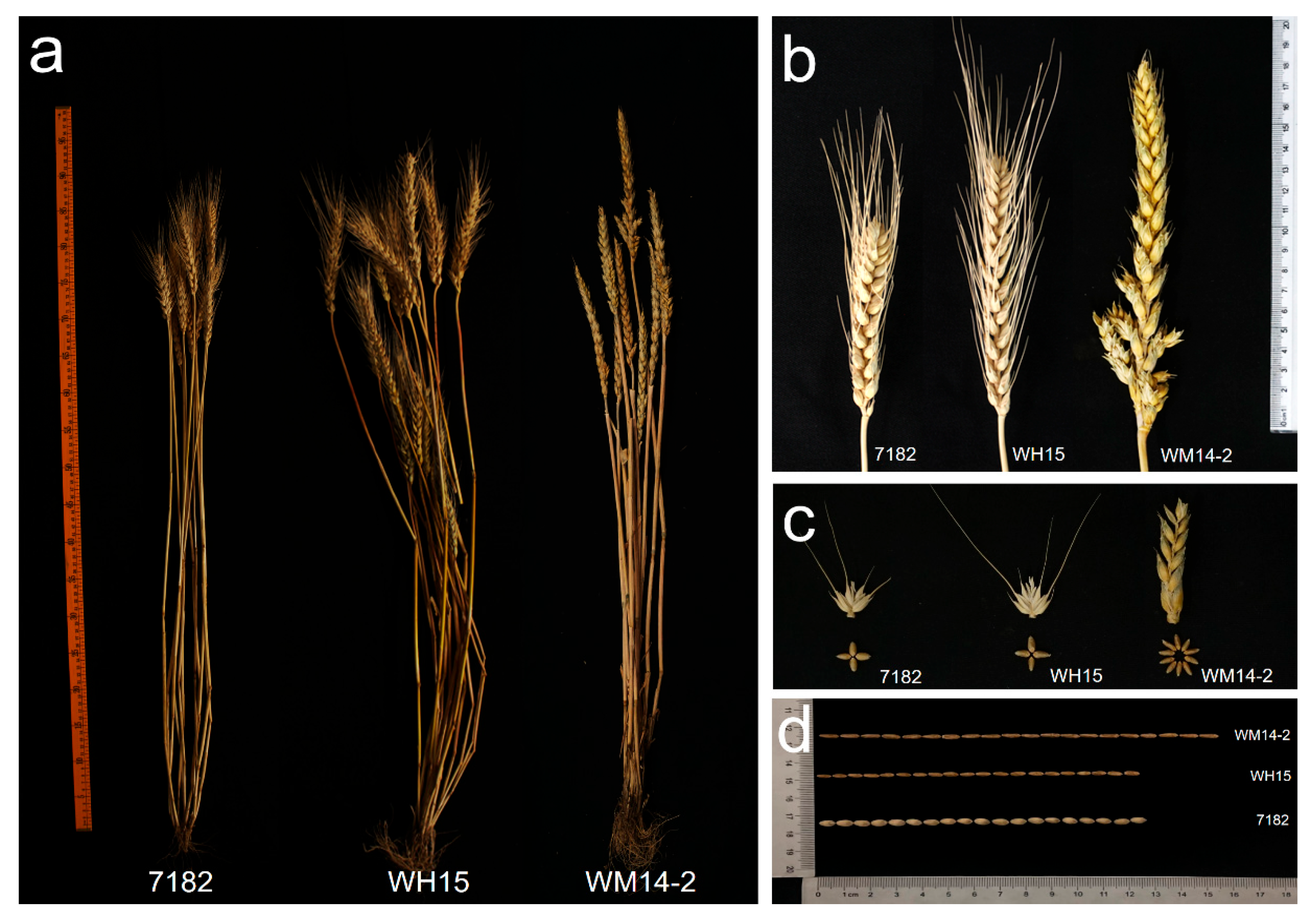 Agriculture 15 01887 g004 Agriculture 15 01887 g004
