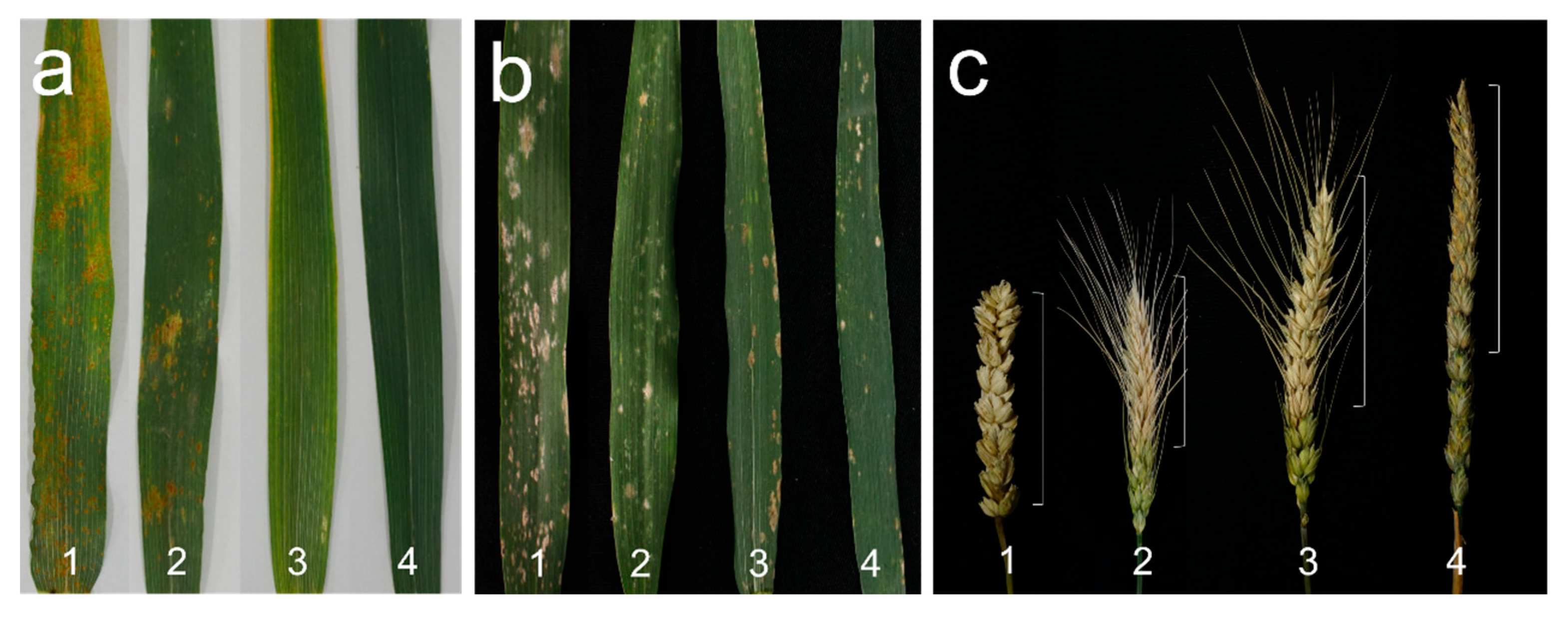 Agriculture 15 01887 g005 Agriculture 15 01887 g005