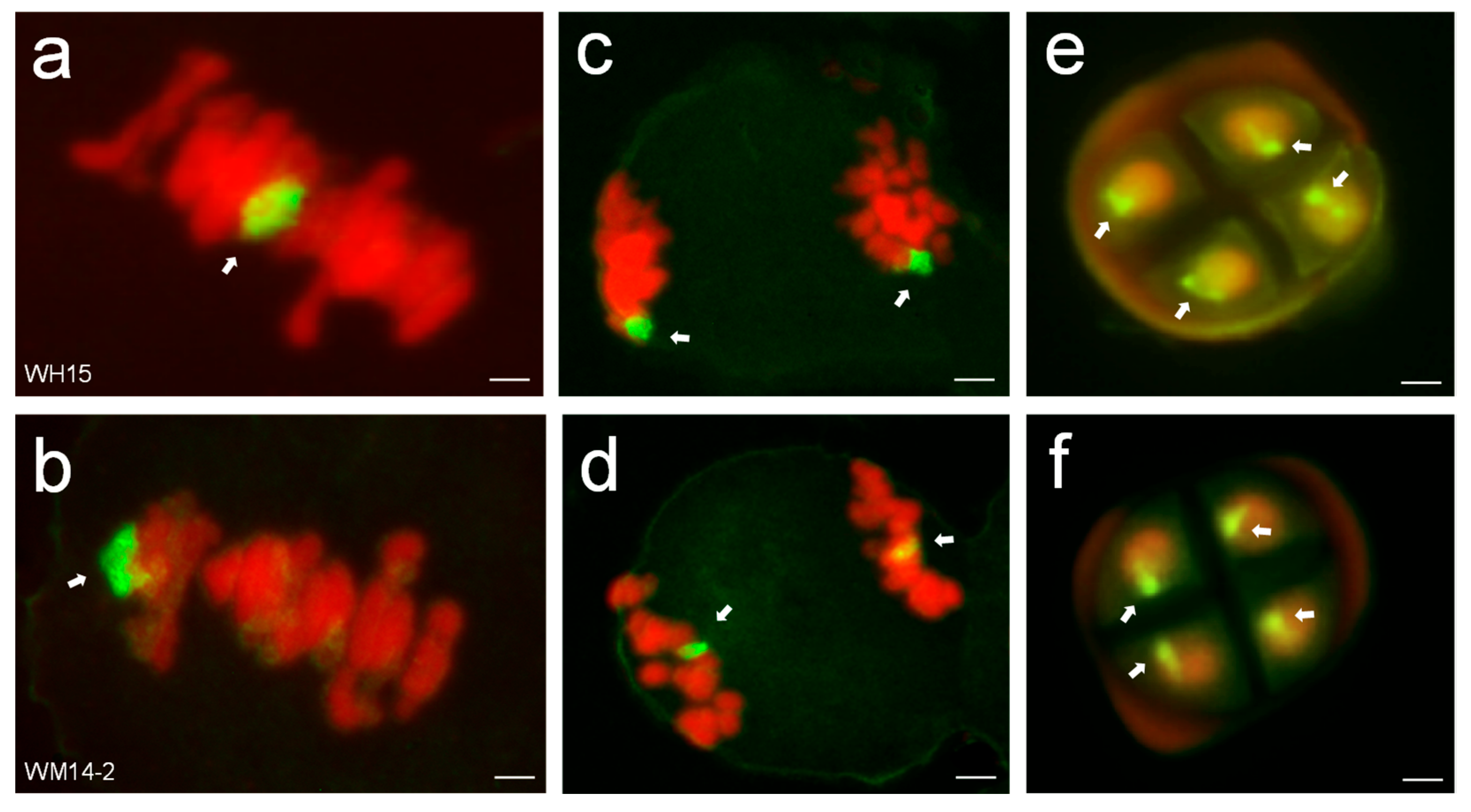 Agriculture 15 01887 g006 Agriculture 15 01887 g006