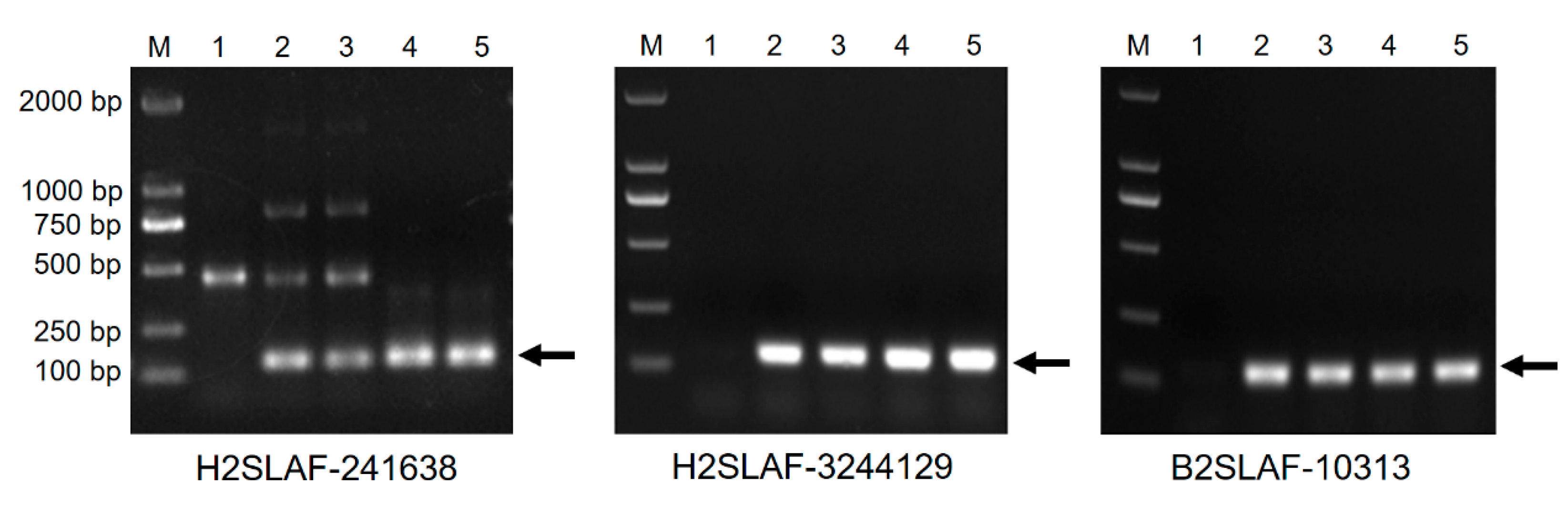 Agriculture 15 01887 g007 Agriculture 15 01887 g007