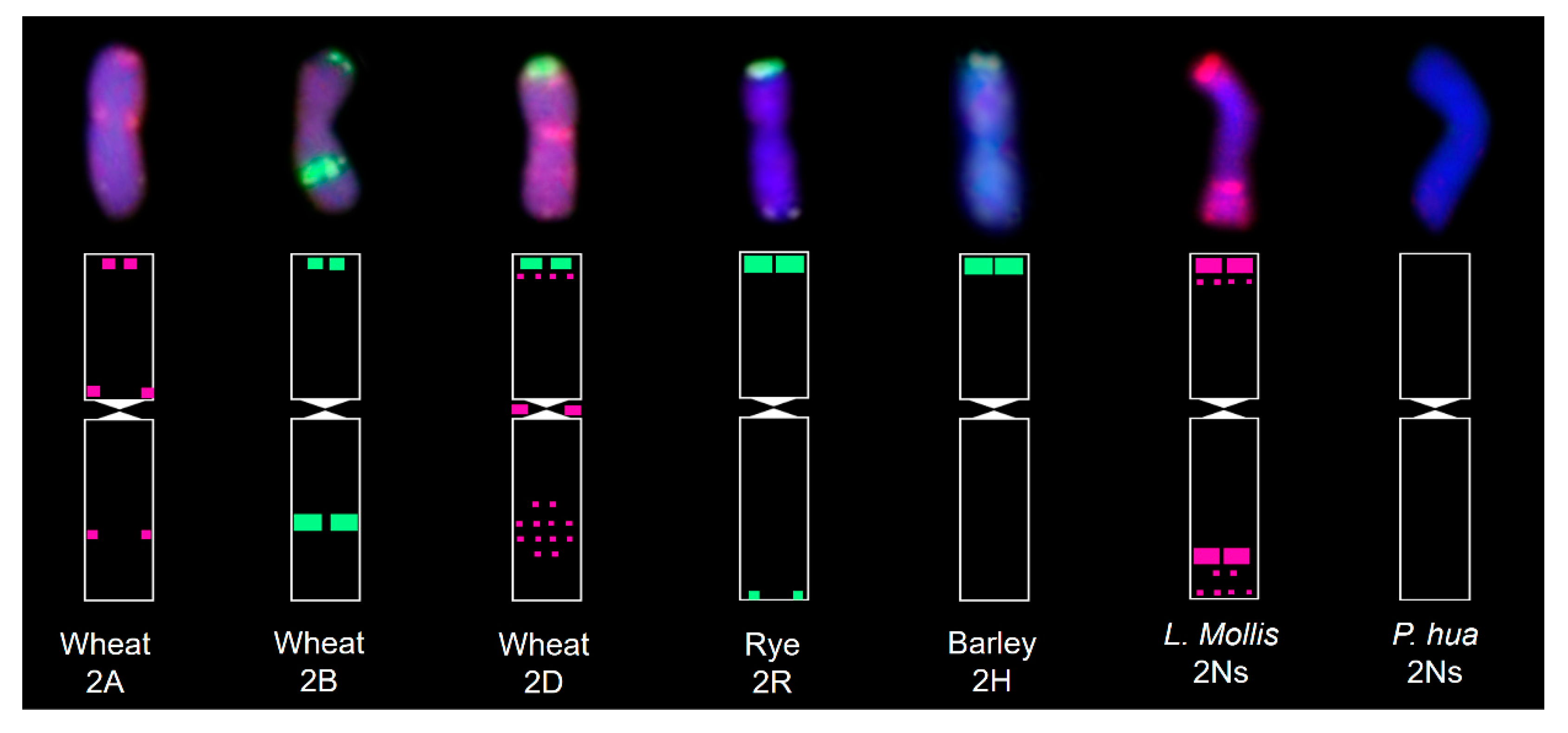 Agriculture 15 01887 g008 Agriculture 15 01887 g008
