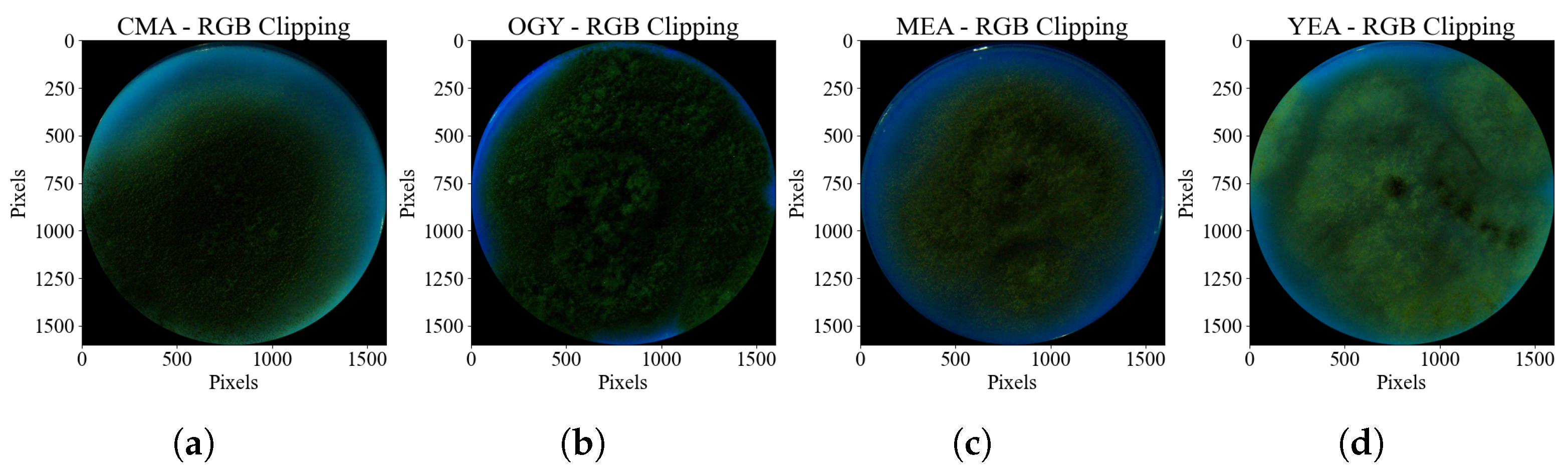 Agriculture 15 01888 g005