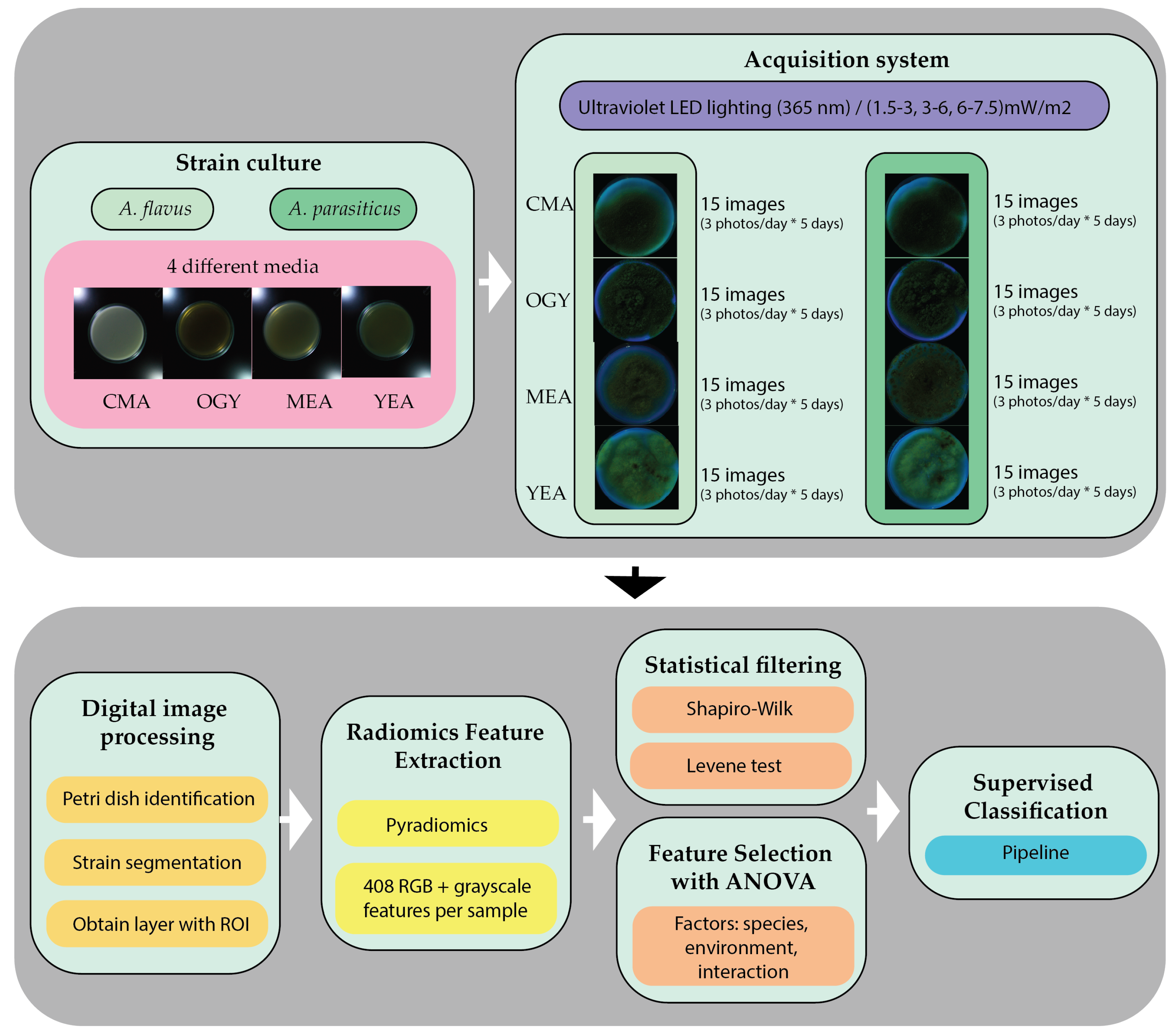 Agriculture 15 01888 g010