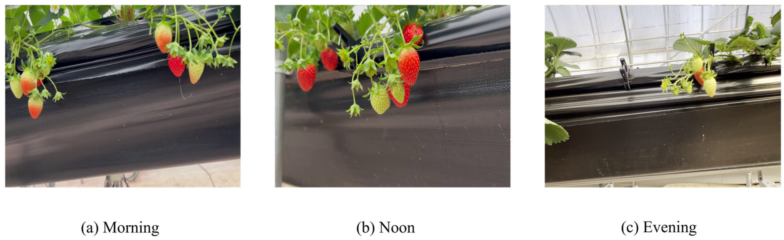 Agriculture 15 01906 g002