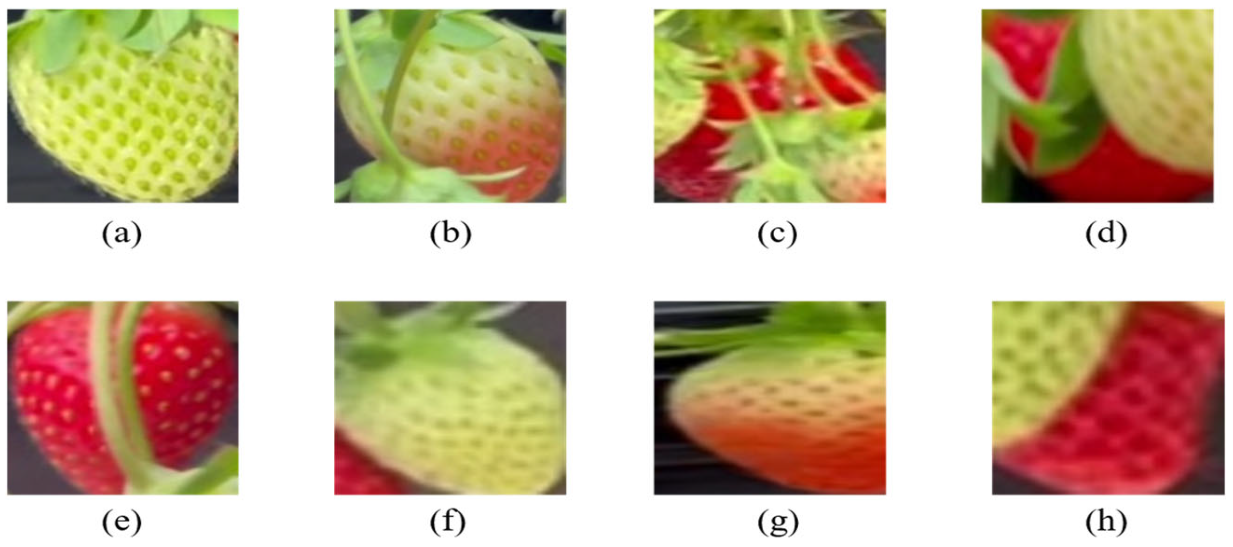 Agriculture 15 01906 g003