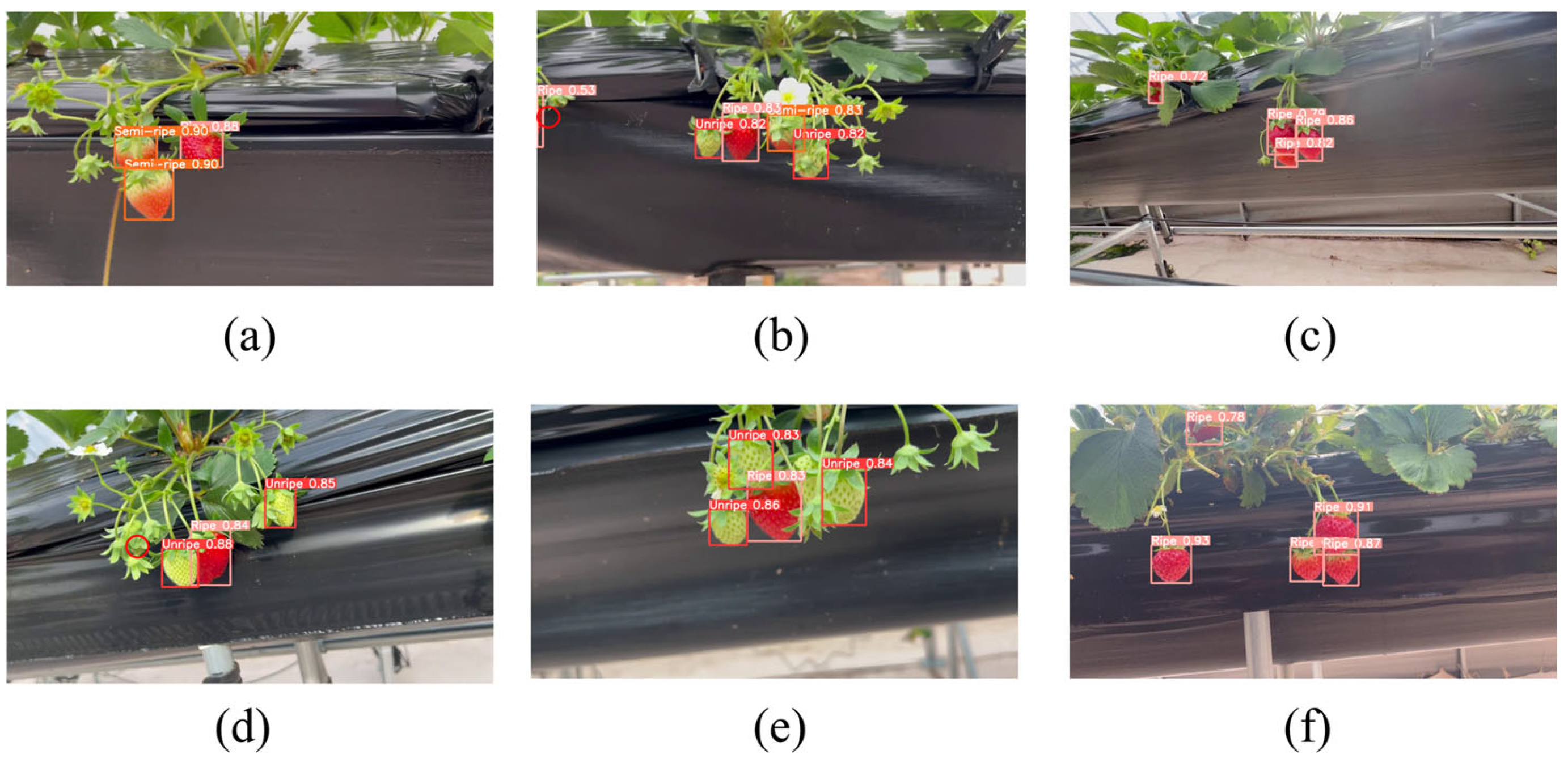 Agriculture 15 01906 g012