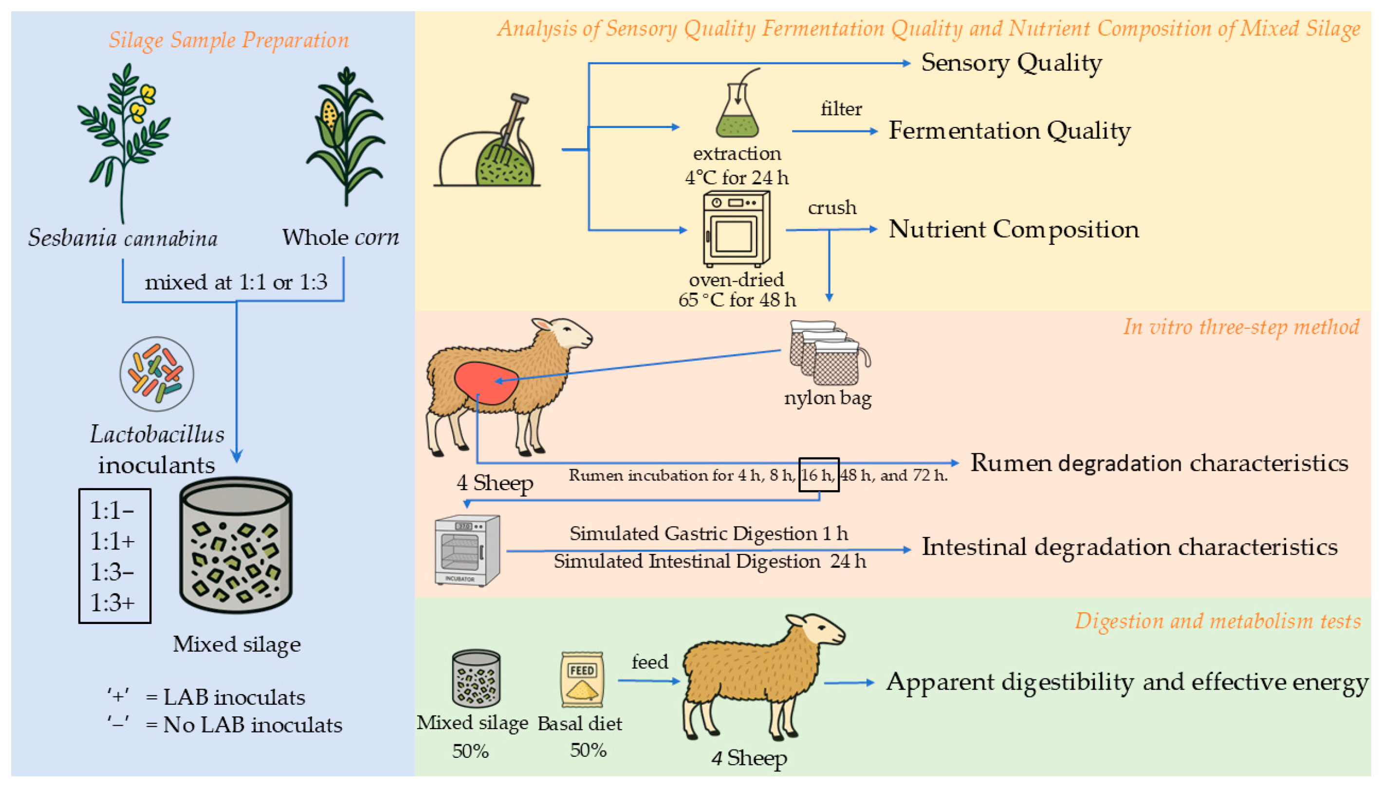 Agriculture 15 01913 g001 Agriculture 15 01913 g001