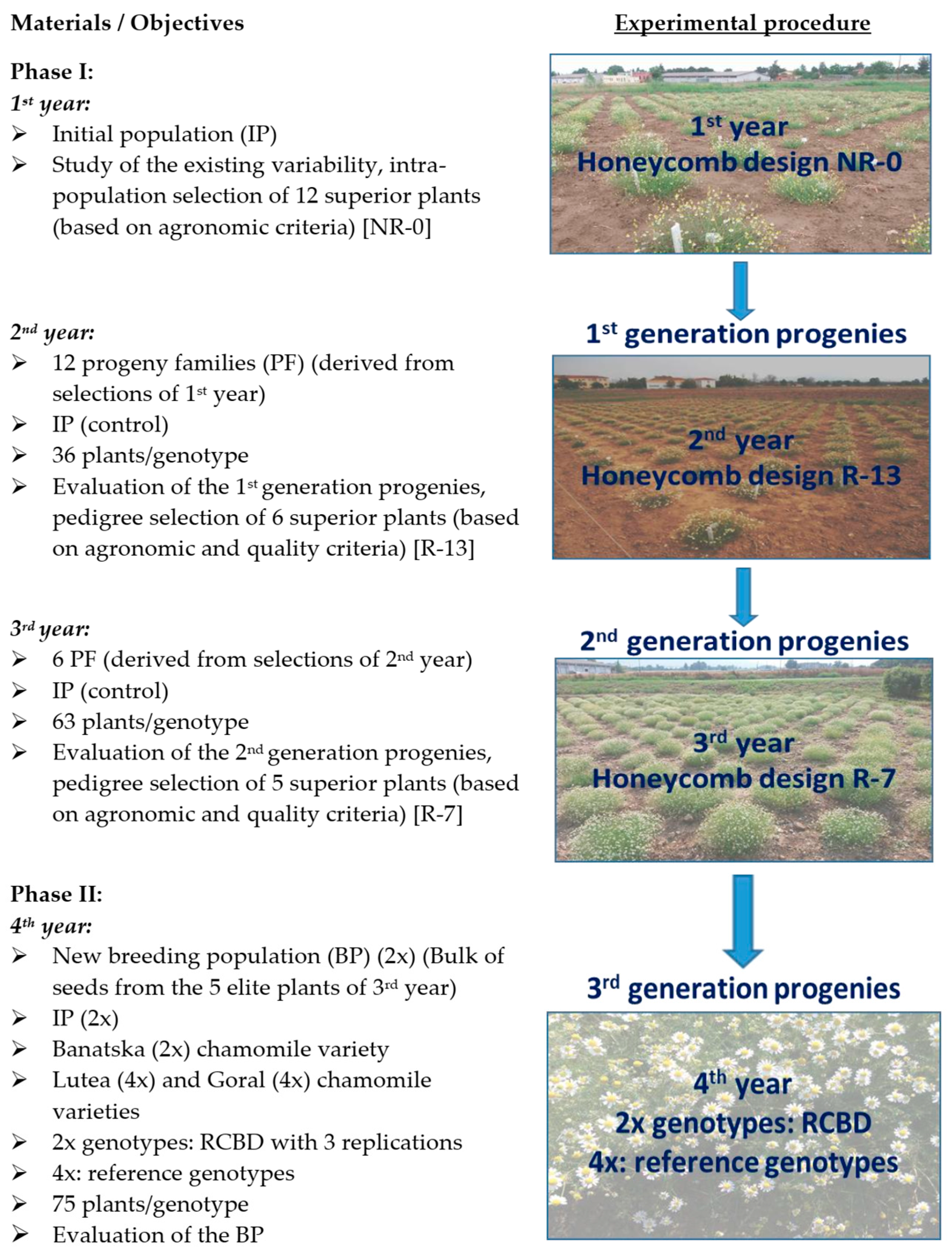 Agriculture 15 01915 g001
