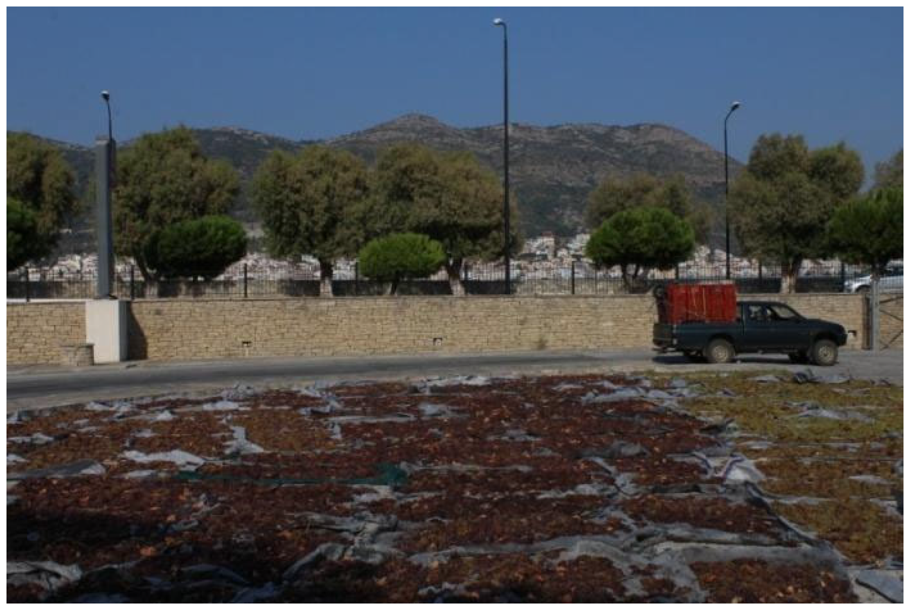 Agriculture 15 01921 g003