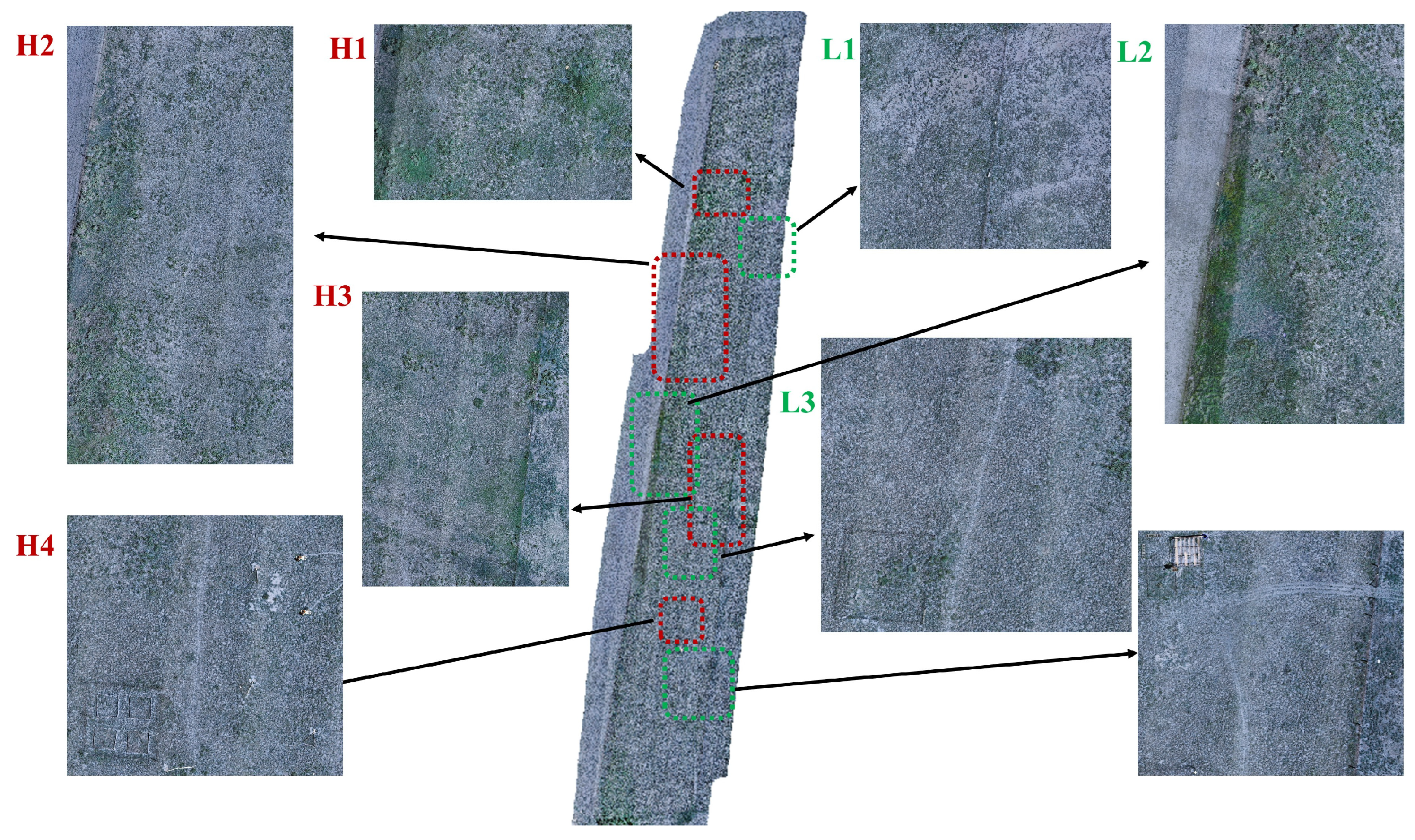 Agriculture 15 01926 g006