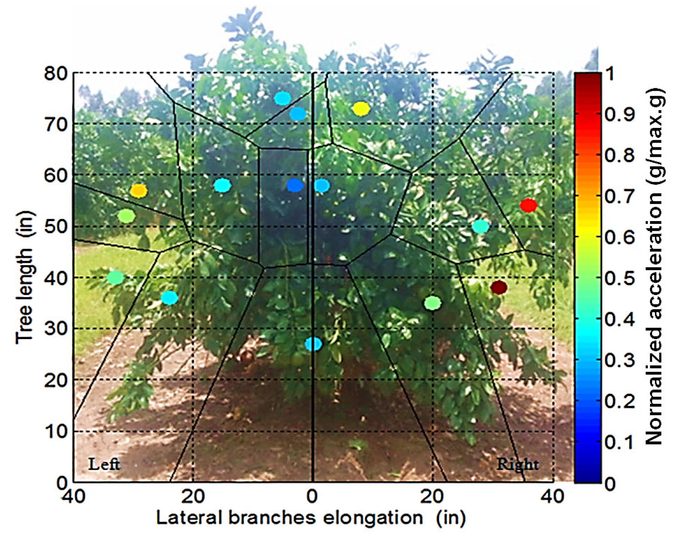 Agriculture 15 01930 g008
