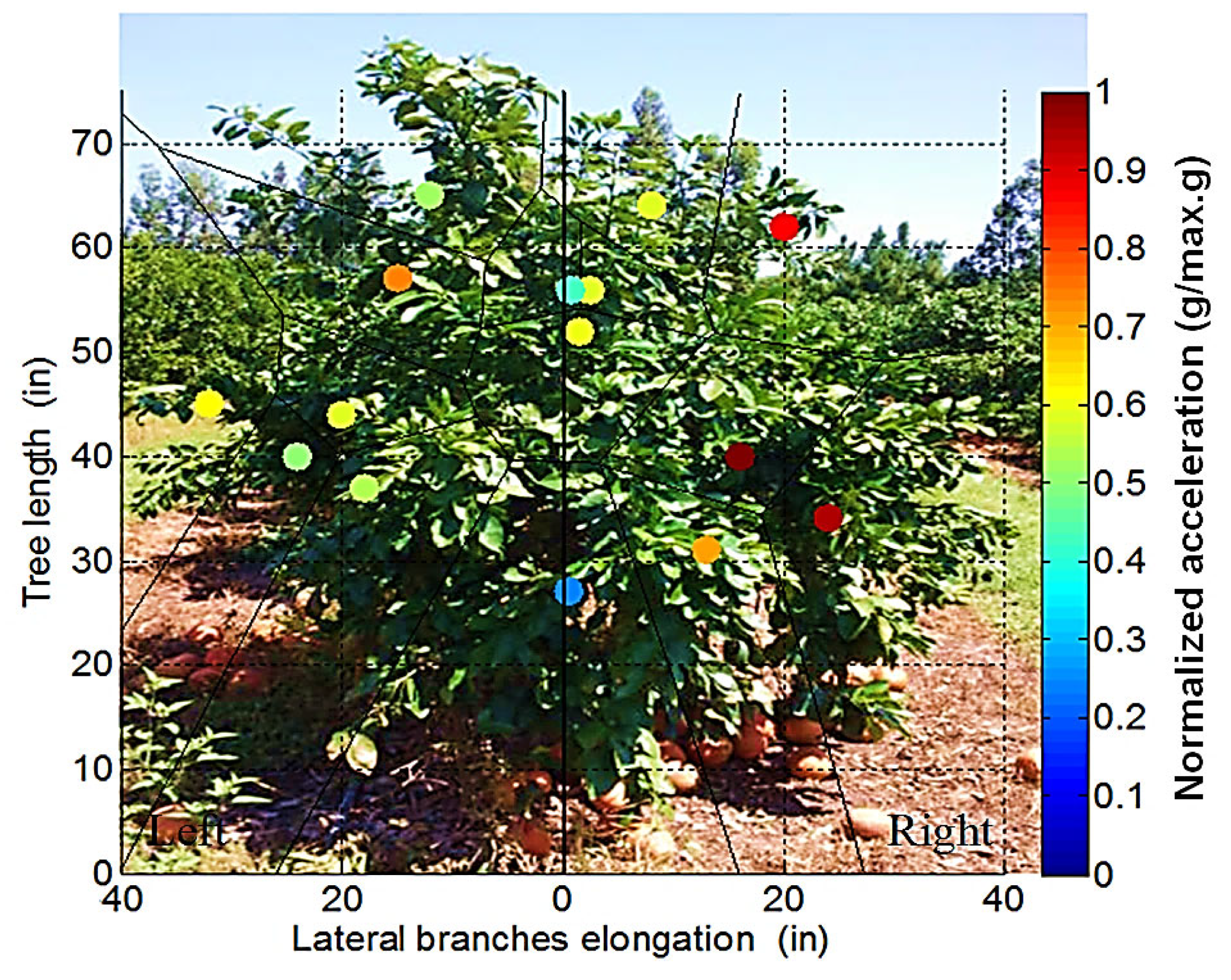 Agriculture 15 01930 g012