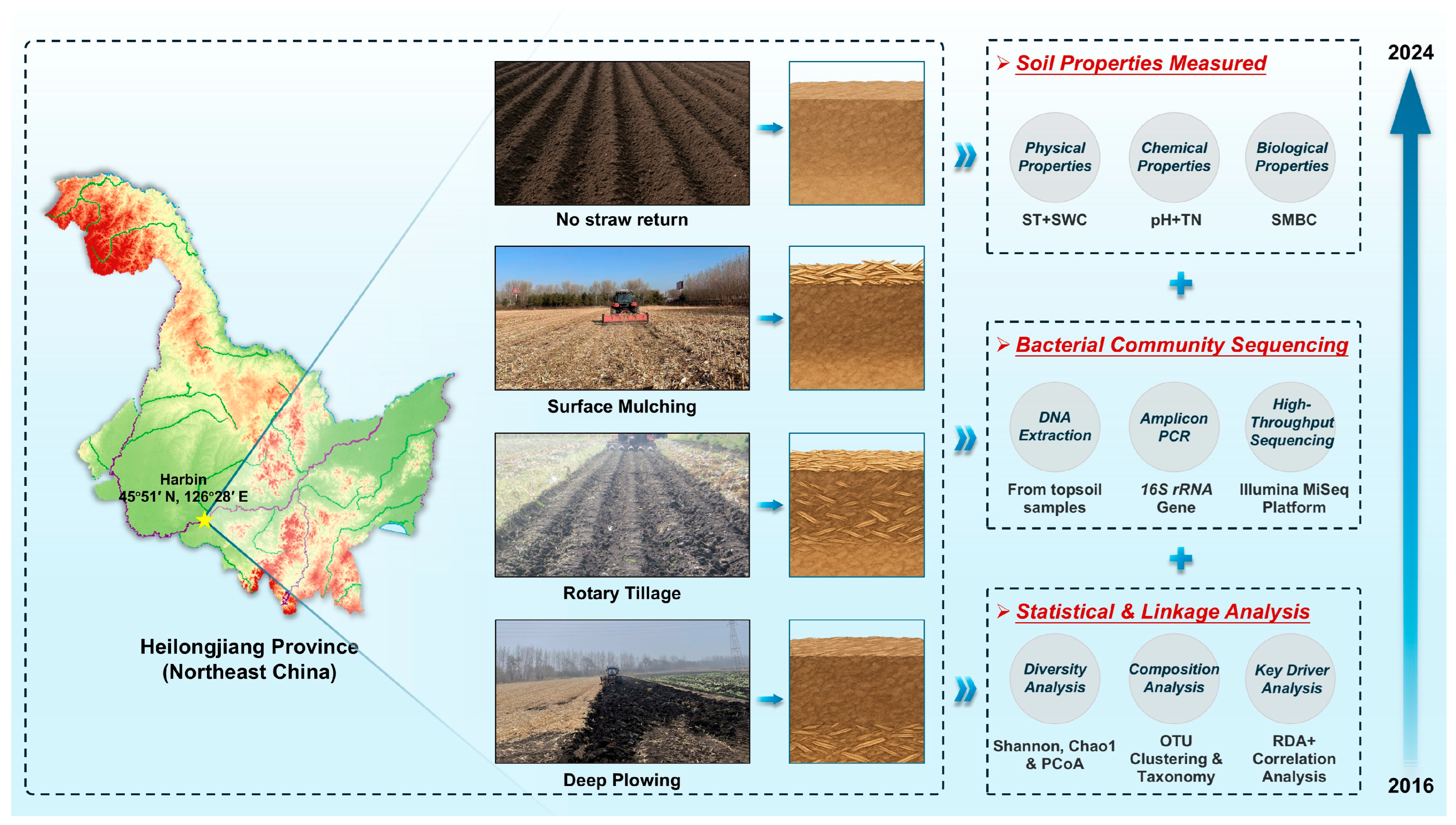 Agriculture 15 01936 g001