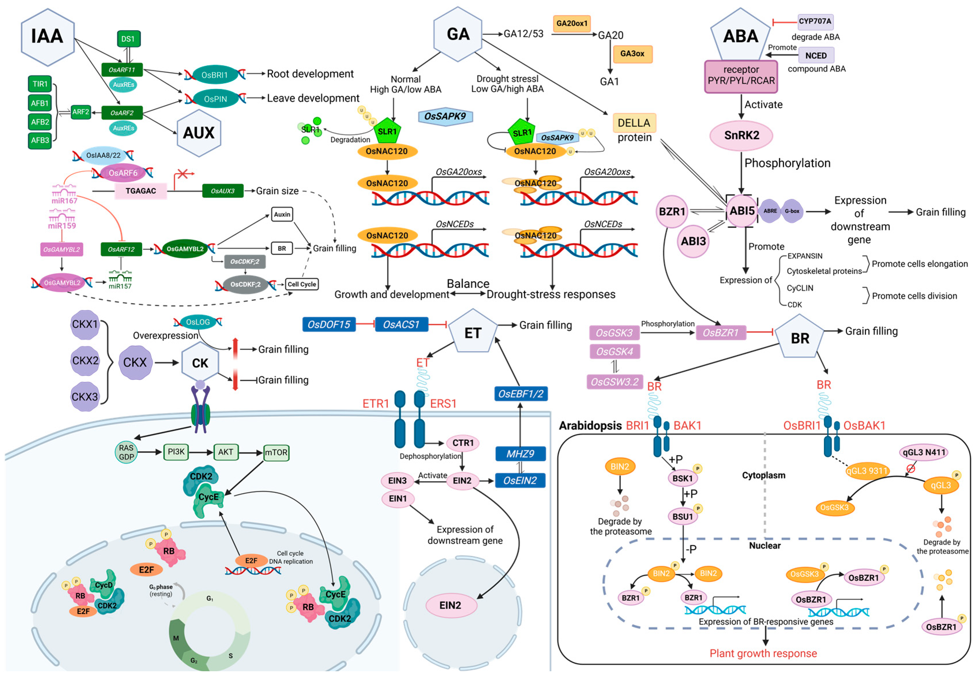 Agriculture 15 01944 g002 Agriculture 15 01944 g002