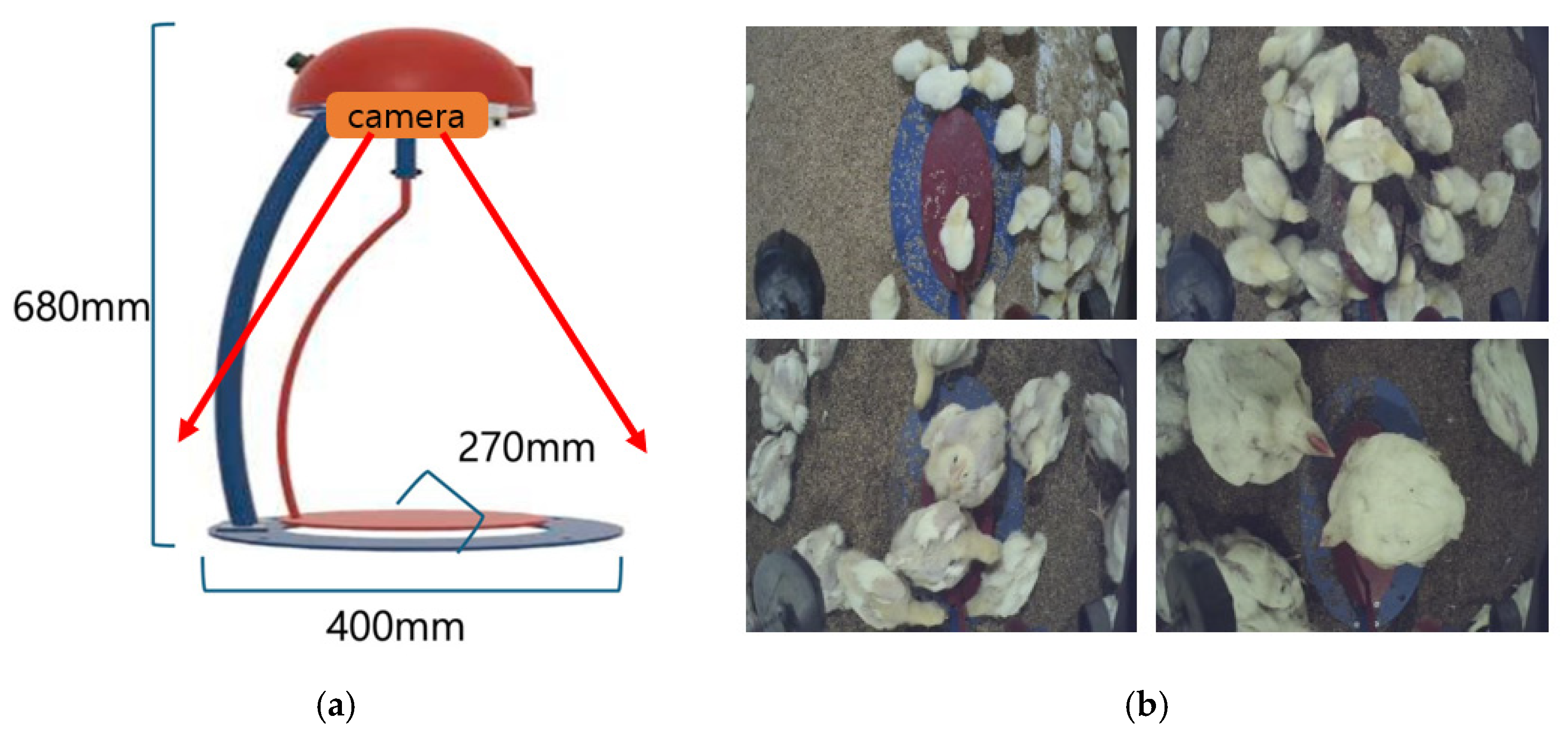 Agriculture 15 01947 g002 Agriculture 15 01947 g002