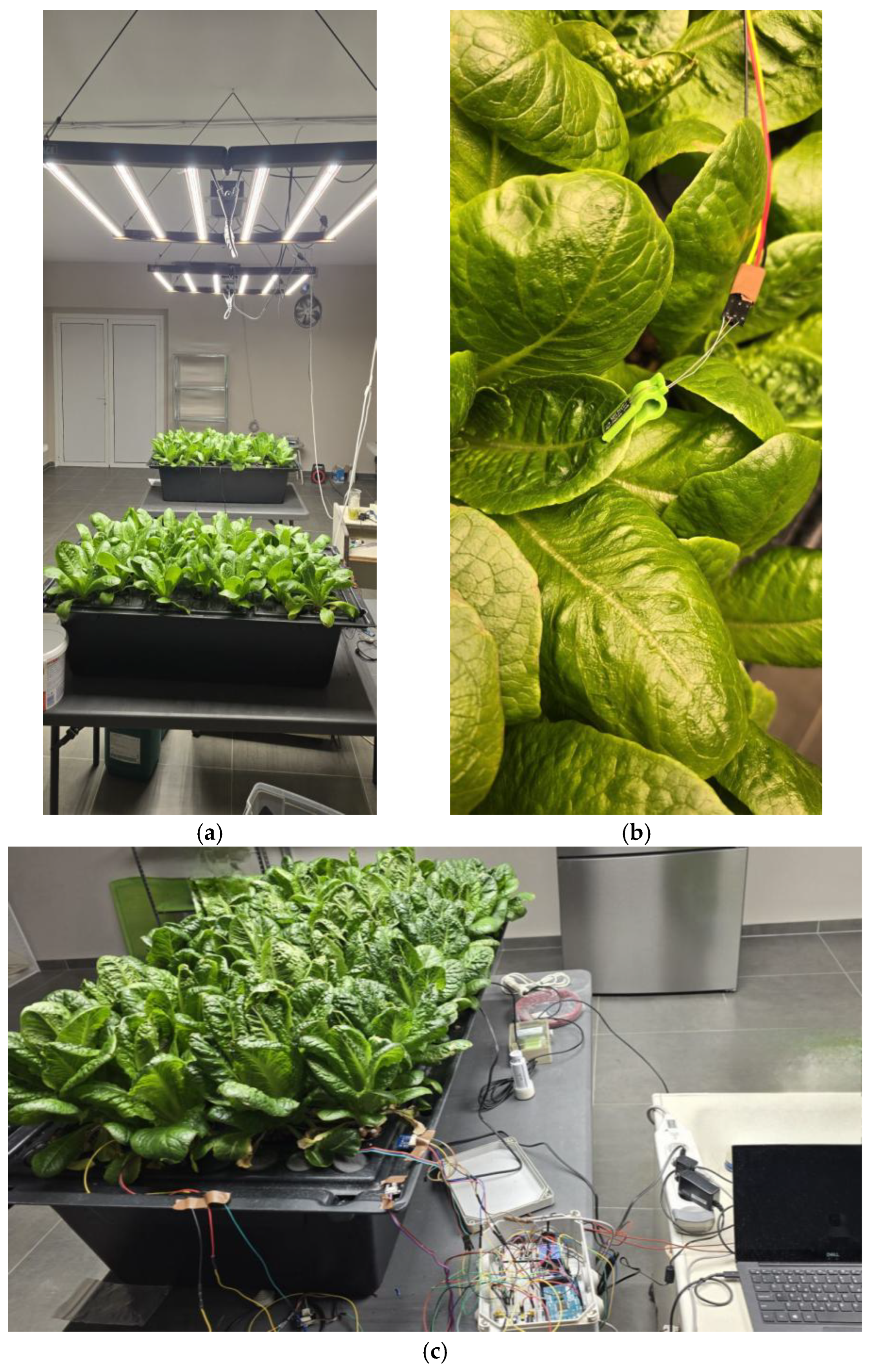 Agriculture 15 01948 g002