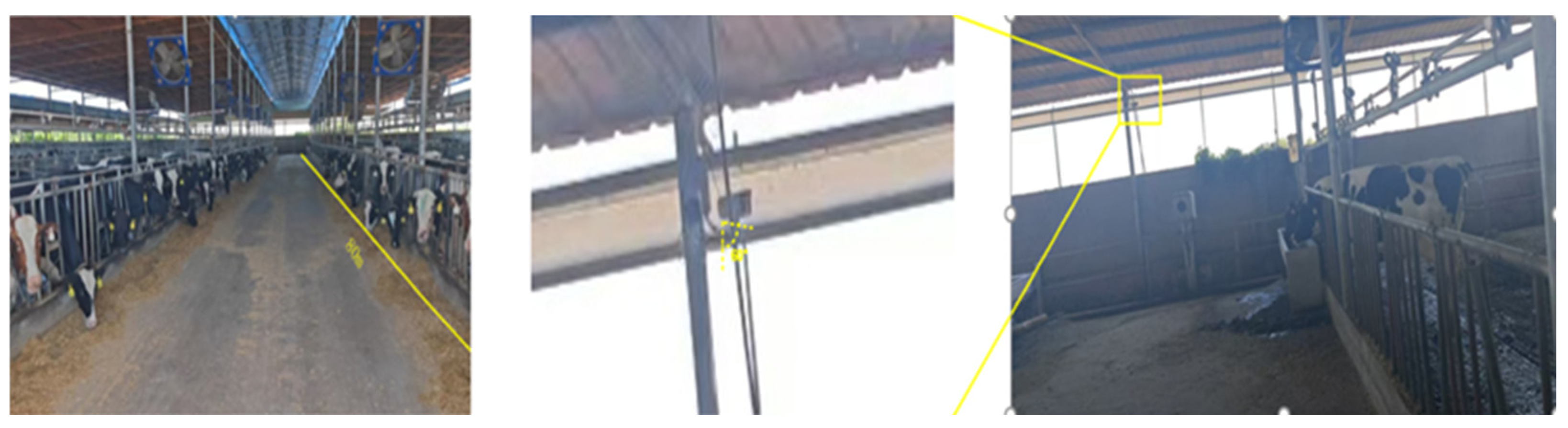 Agriculture 15 01952 g001