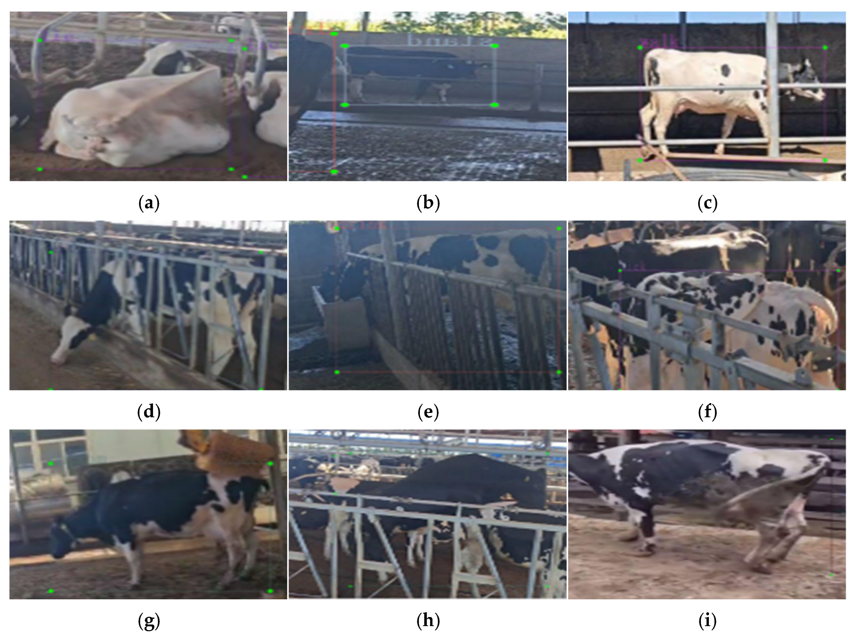 Agriculture 15 01952 g003