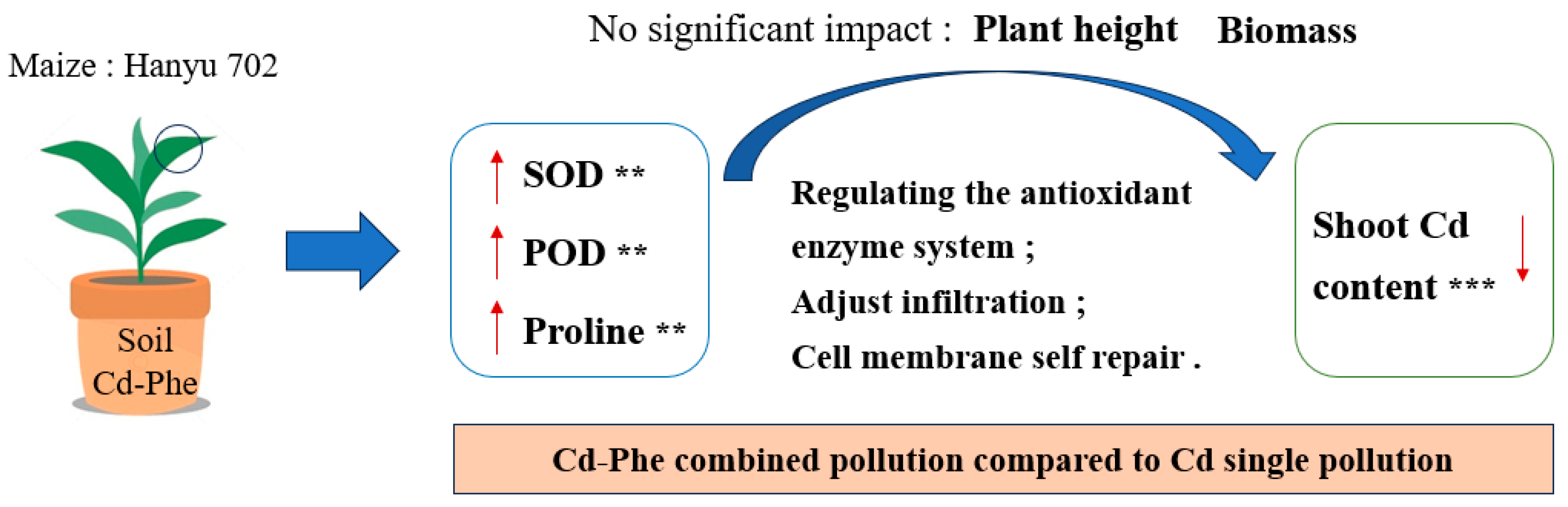Agriculture 15 01957 g005