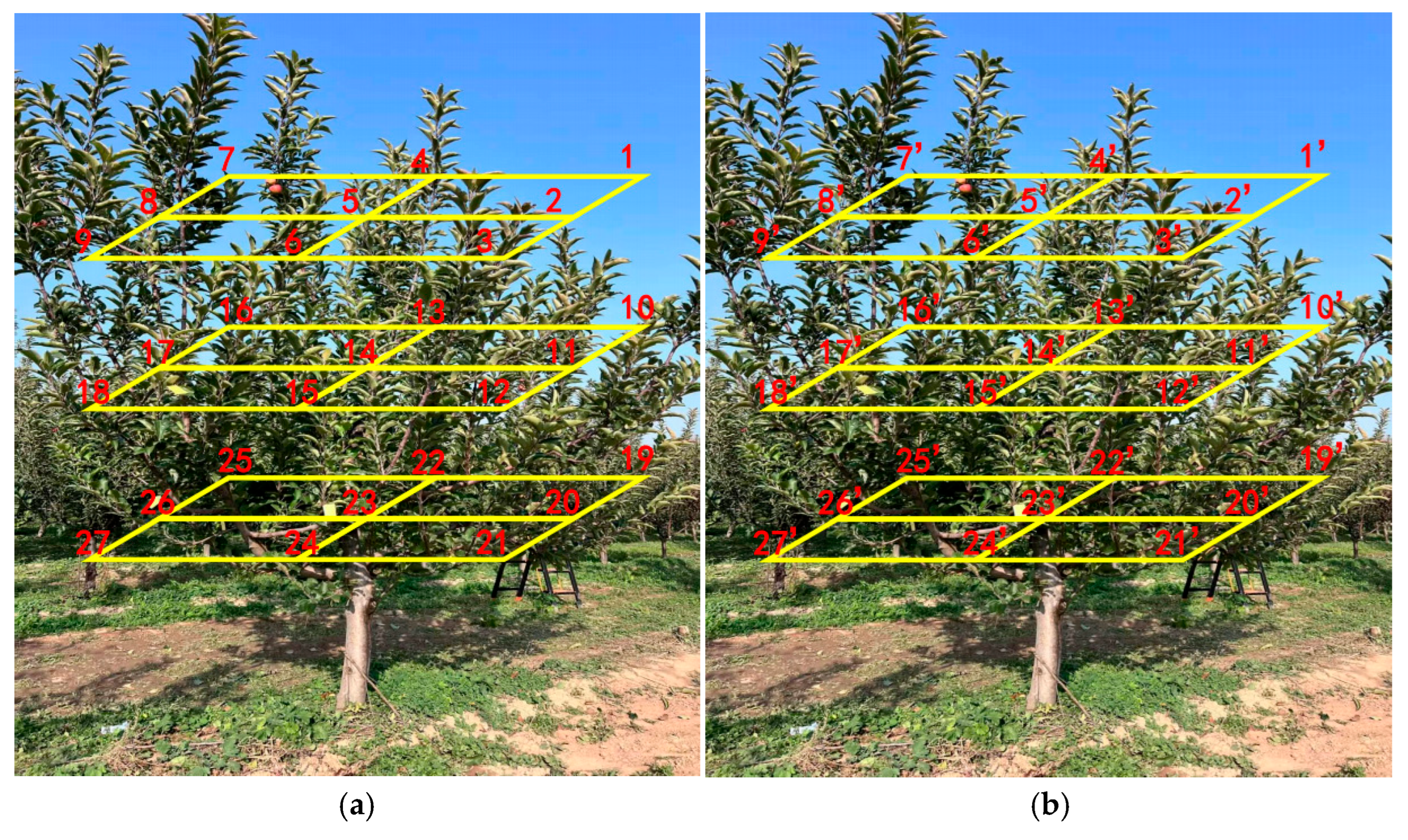 Agriculture 15 01958 g009