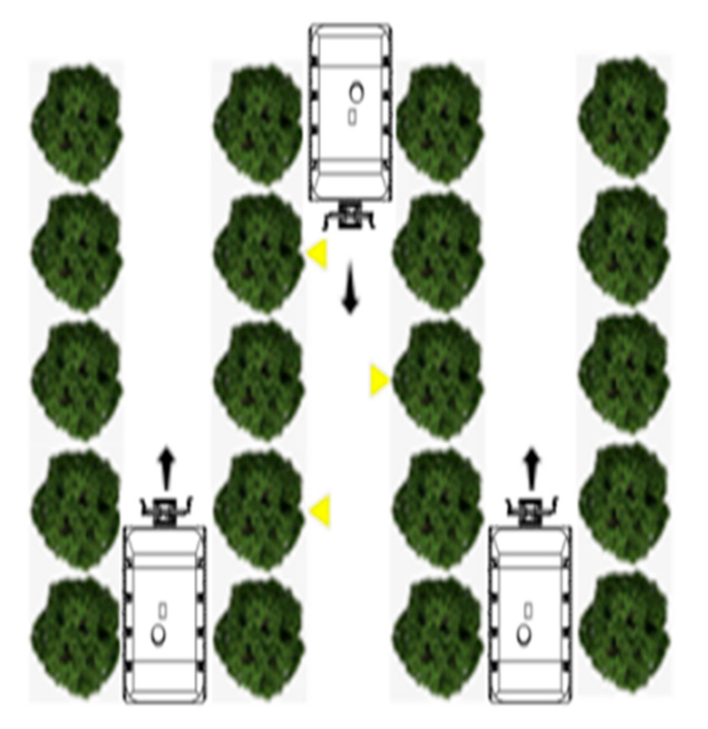 Agriculture 15 01958 g010