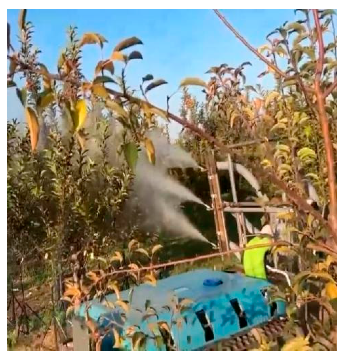 Agriculture 15 01958 g012