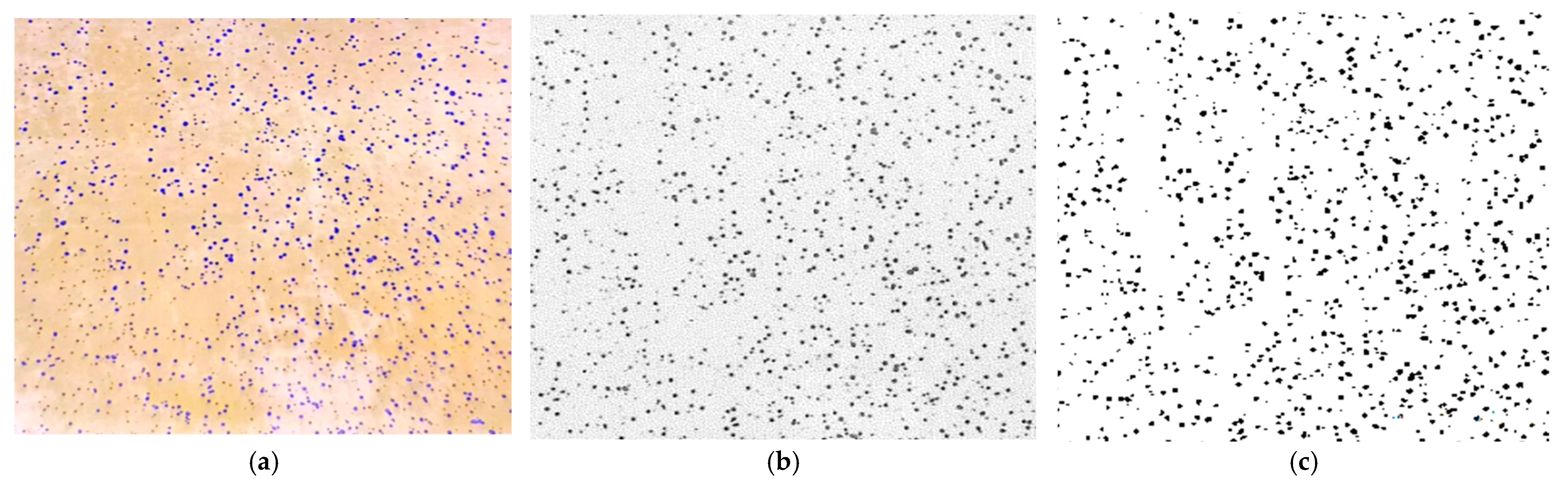 Agriculture 15 01958 g013