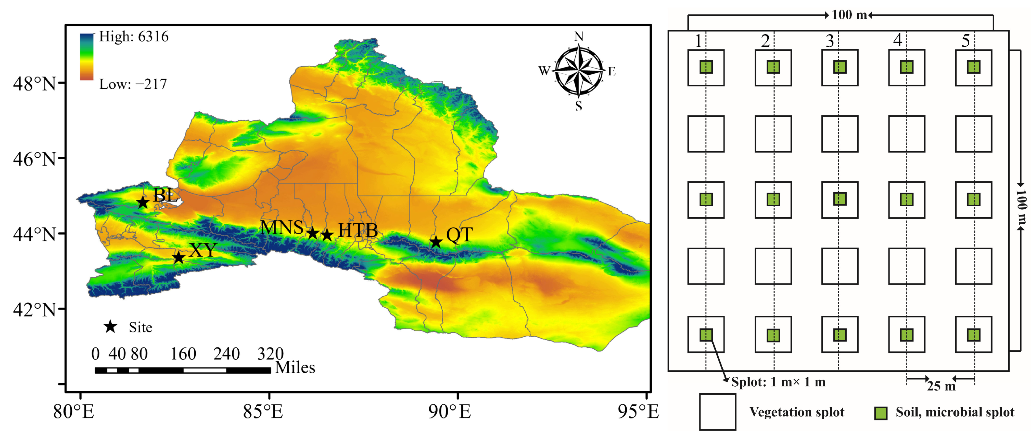 Agriculture 15 01959 g001