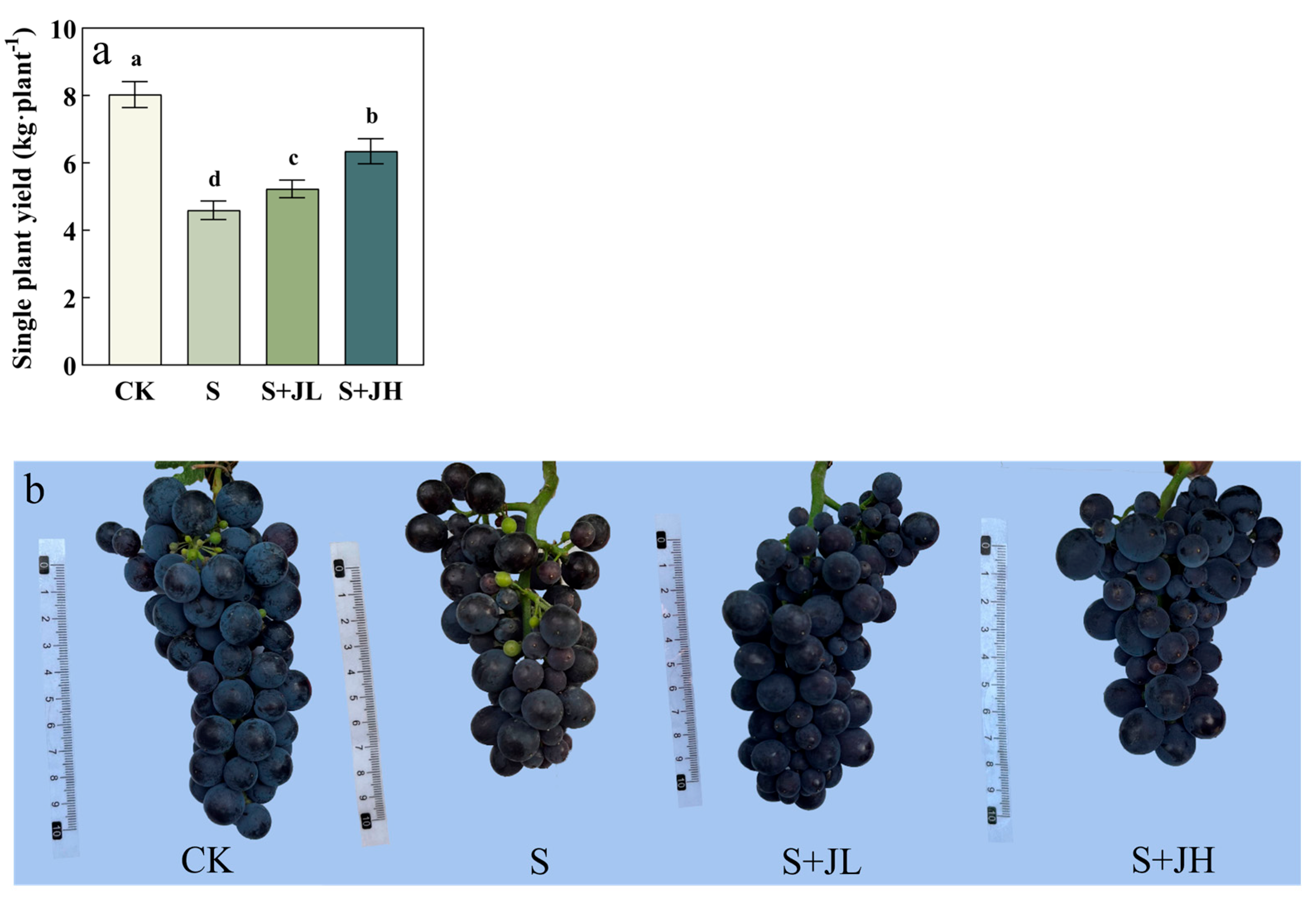 Agriculture 15 01960 g005