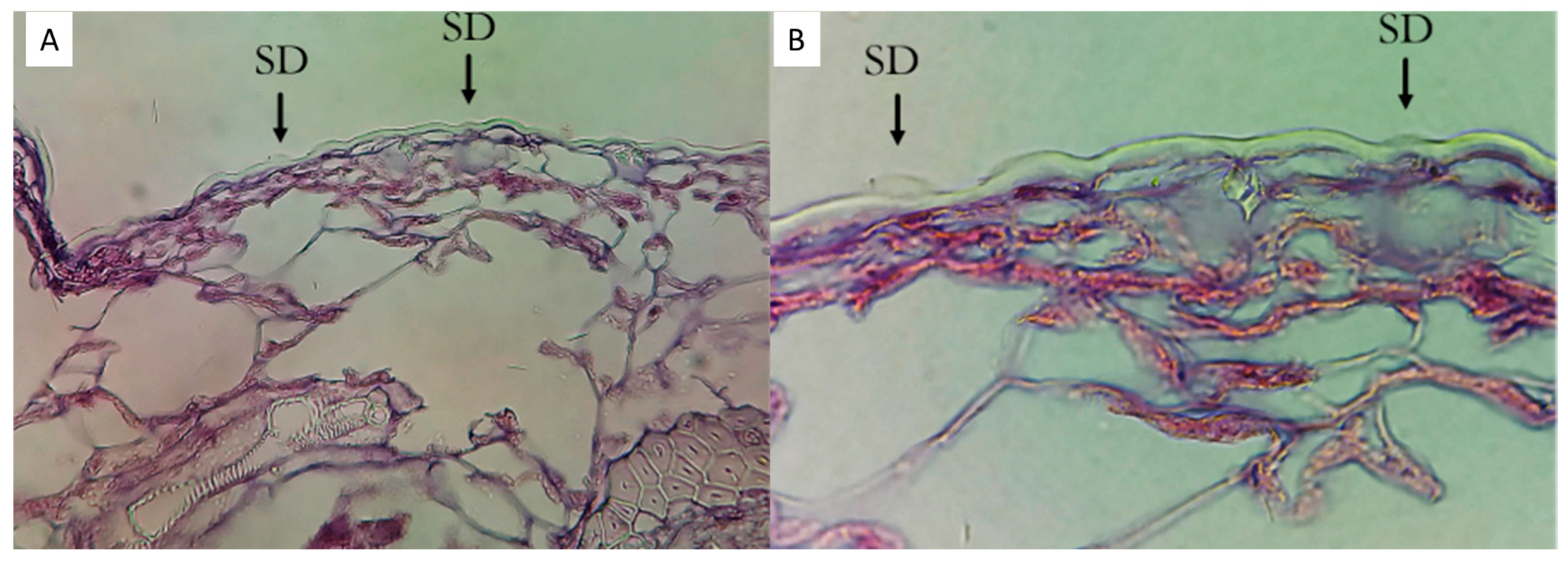 Agriculture 15 01961 g002