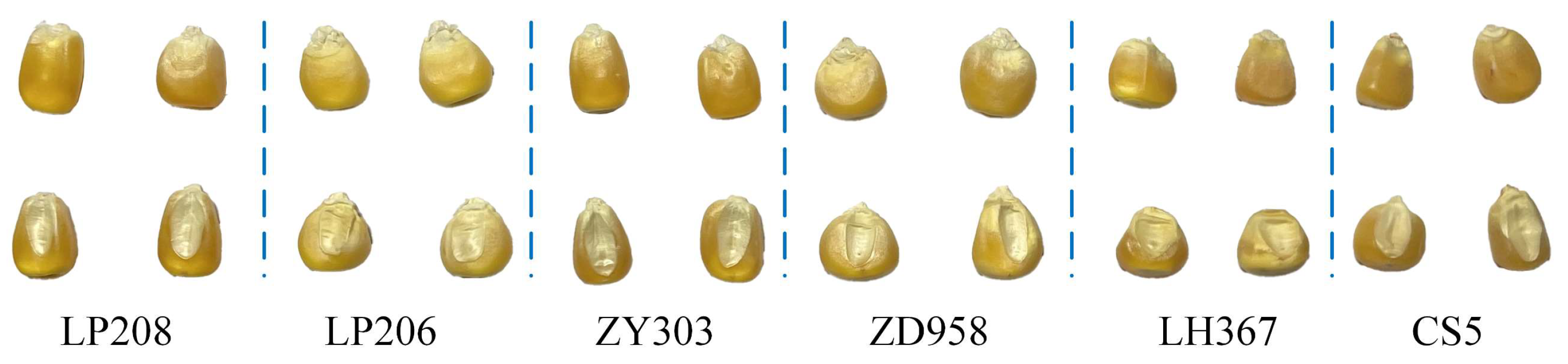 Agriculture 15 01968 g001