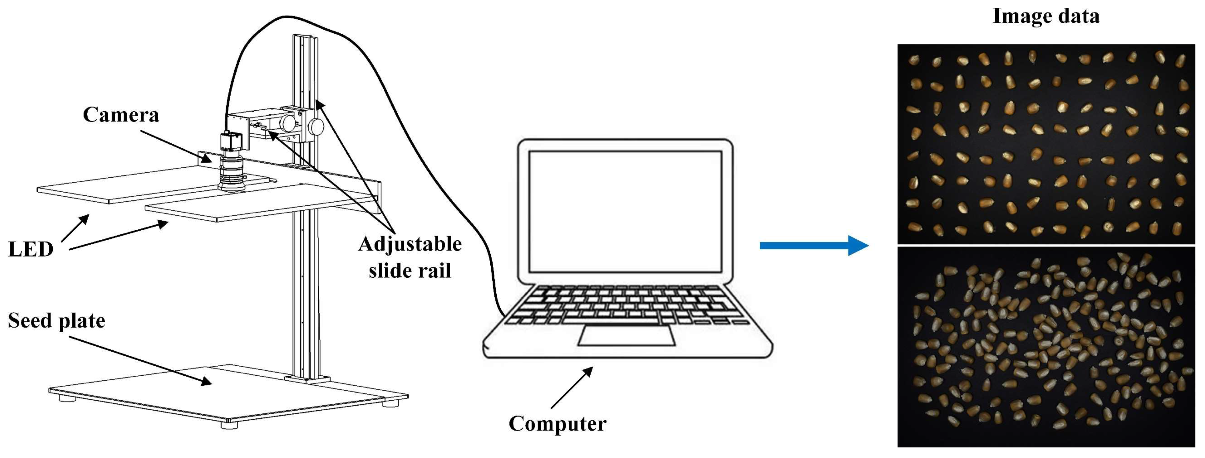 Agriculture 15 01968 g002