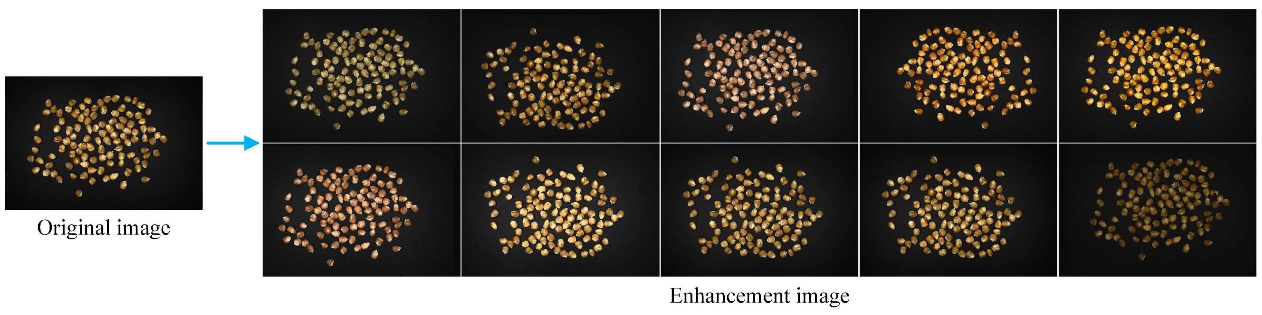 Agriculture 15 01968 g003